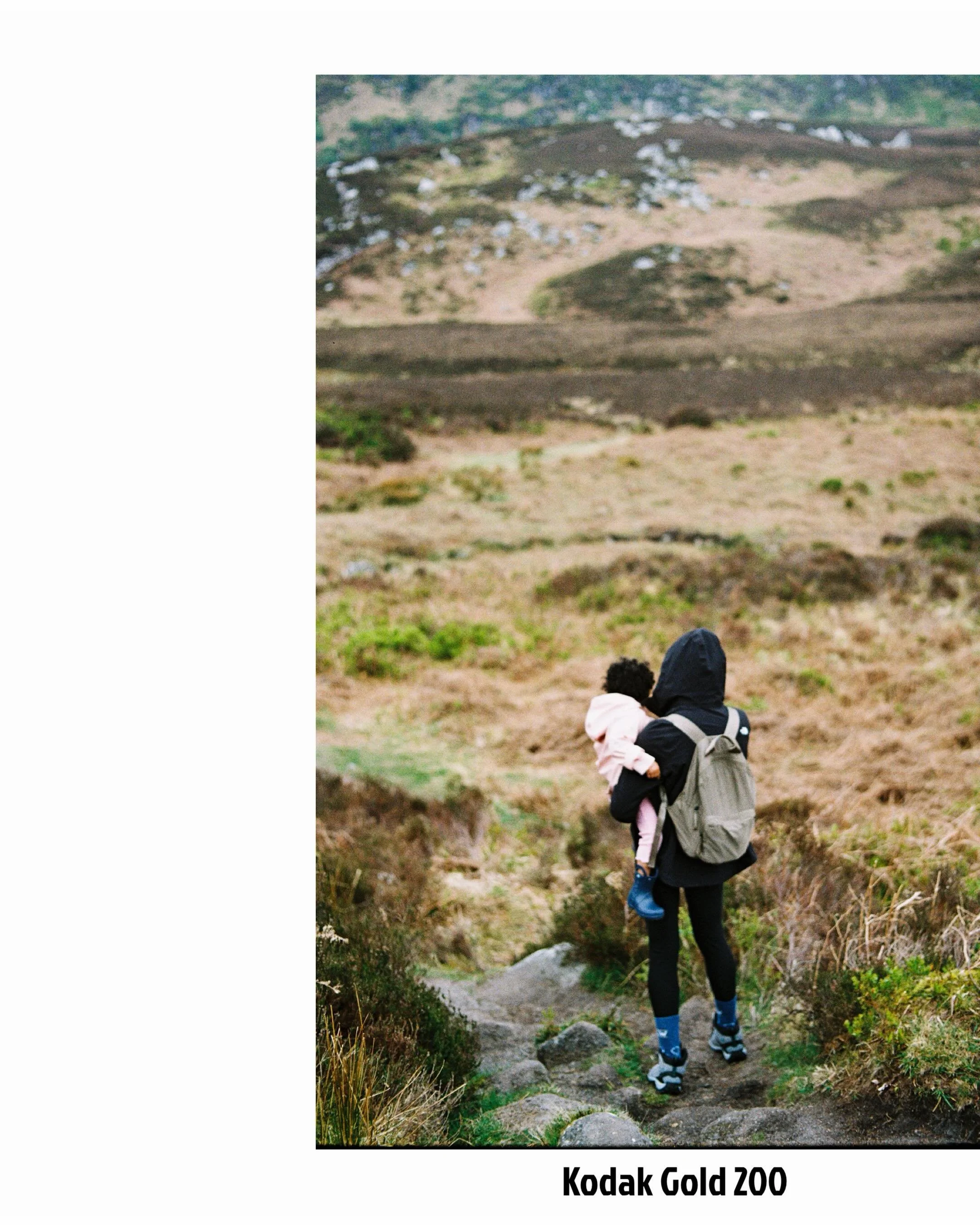 I got my film back from @goodmanfilmlab!

I took a big risk bringing my Sears TLS to Ireland. I&rsquo;d resealed it, but I hadn&rsquo;t ran a roll of film through it so I was a little worried about light leaks. Luckily these photos came out pretty go