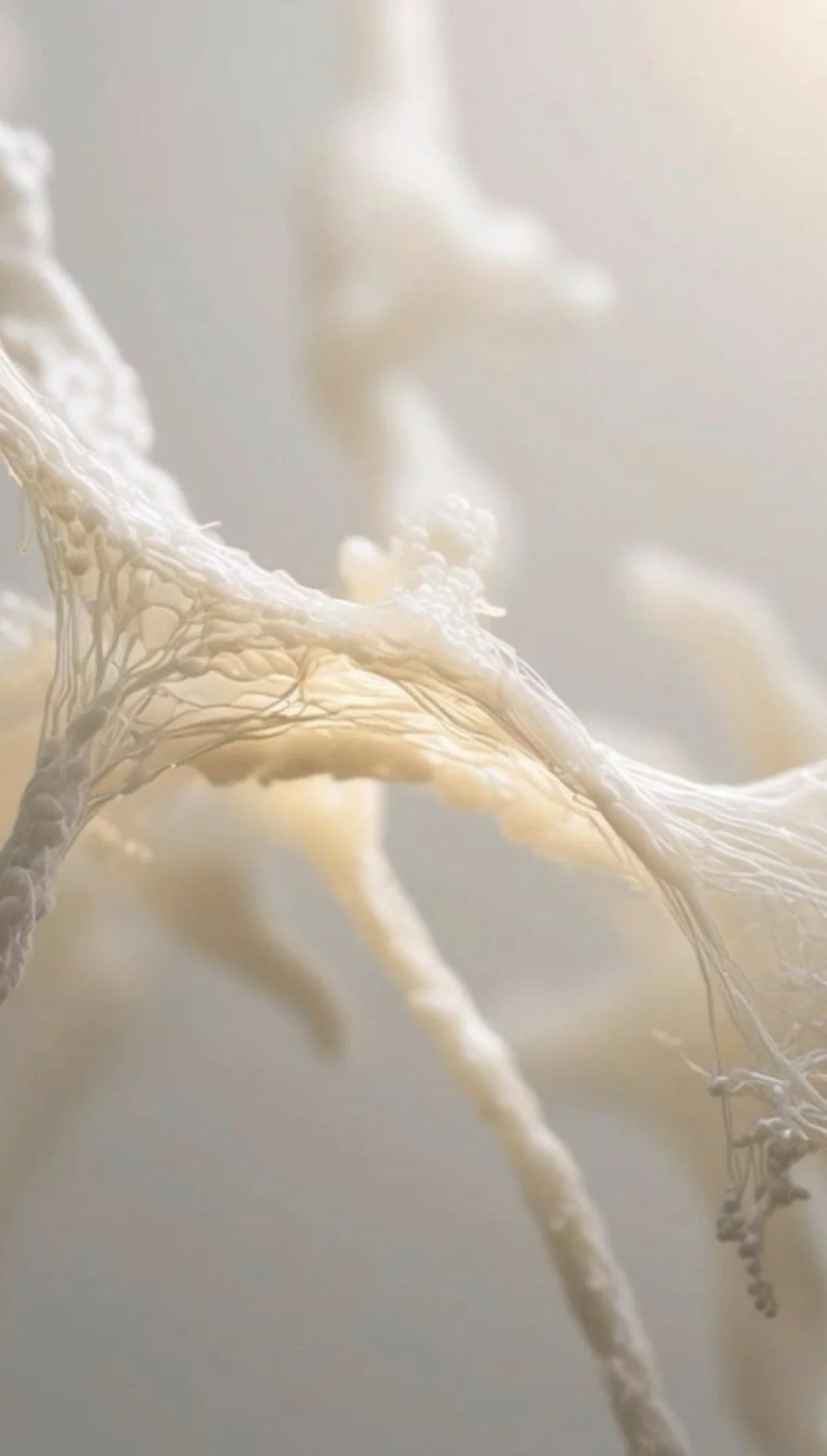 Meet your fascia