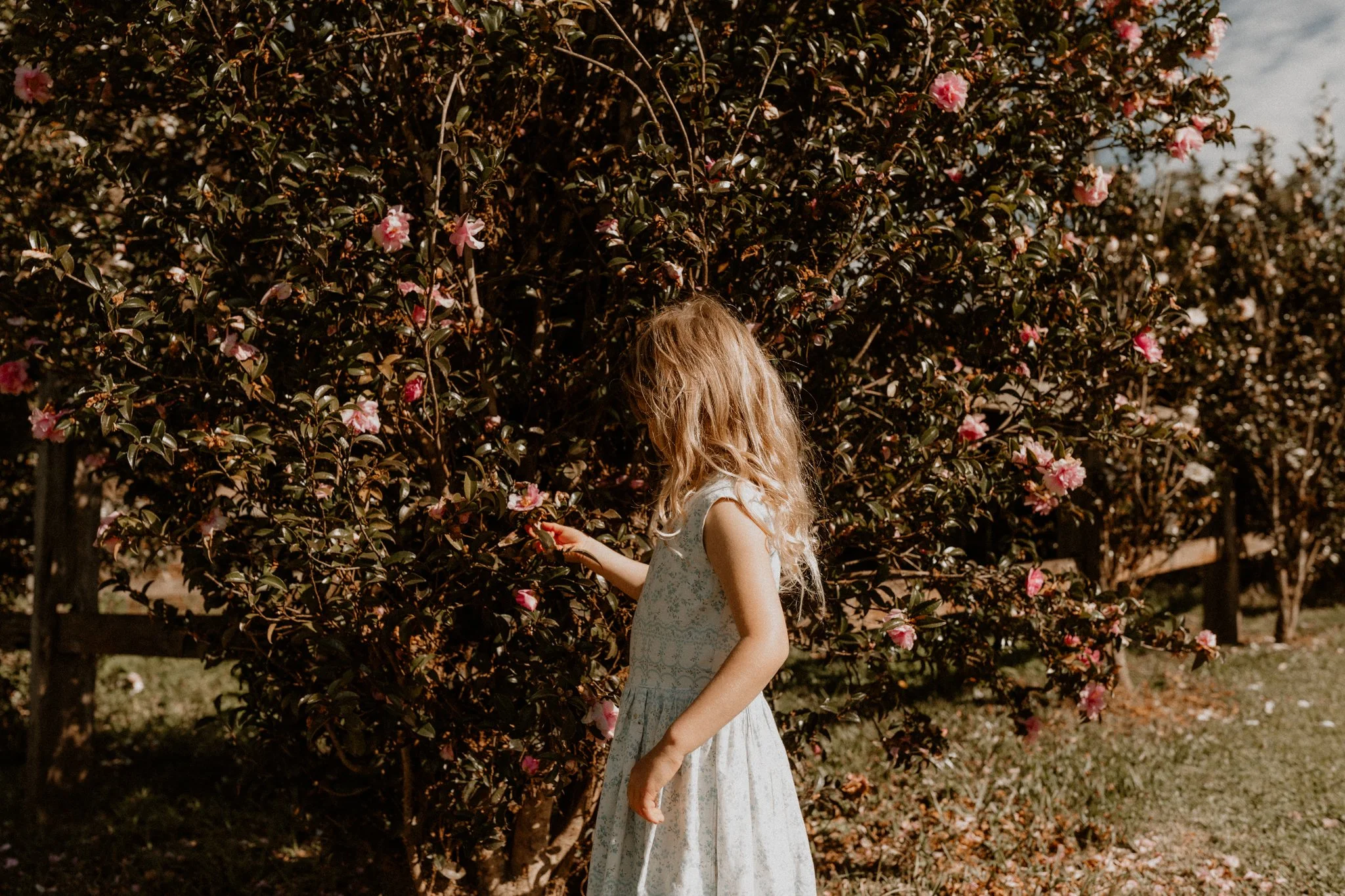 honour-wellness-500 copy 2.jpg