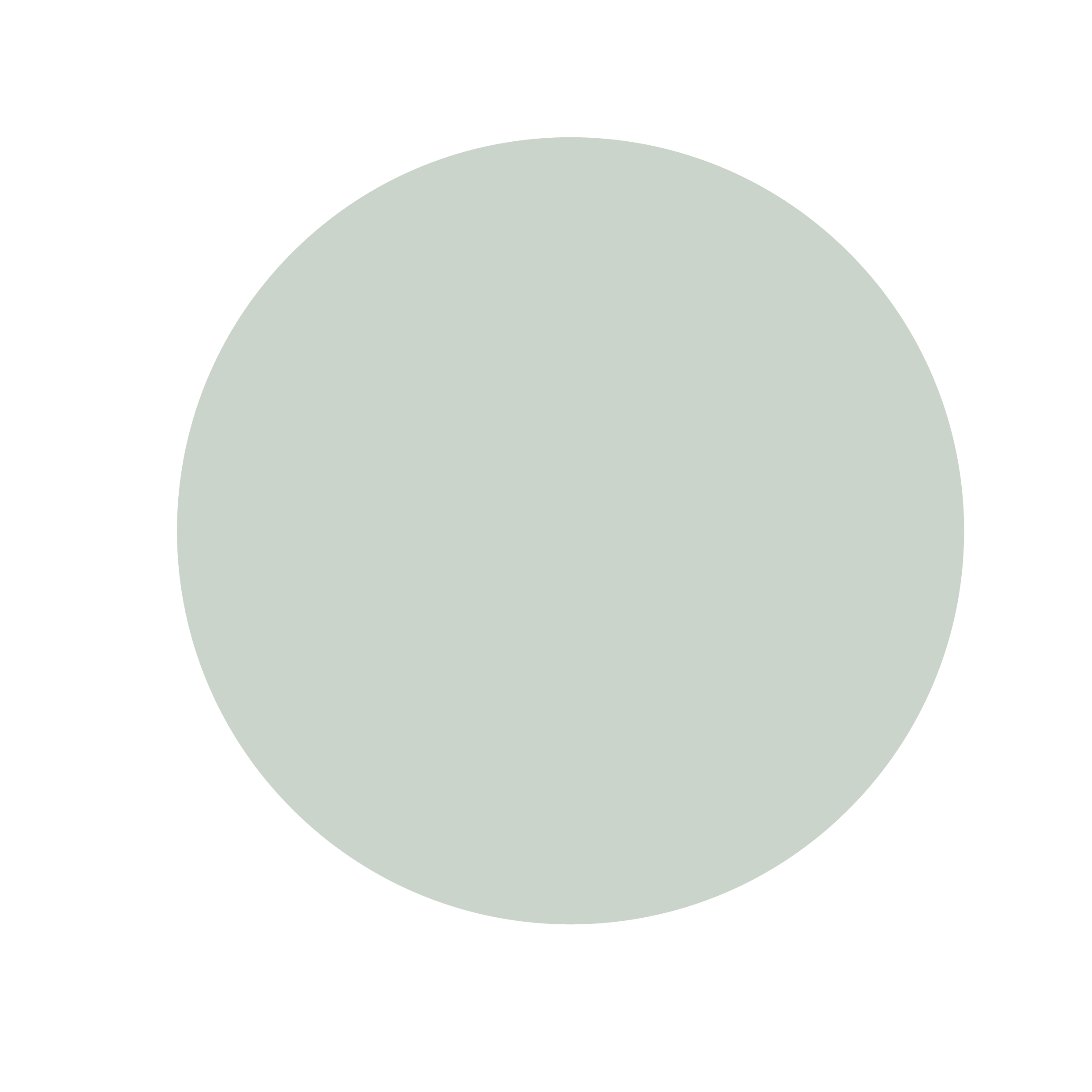 A gray sphere centered on a black background.