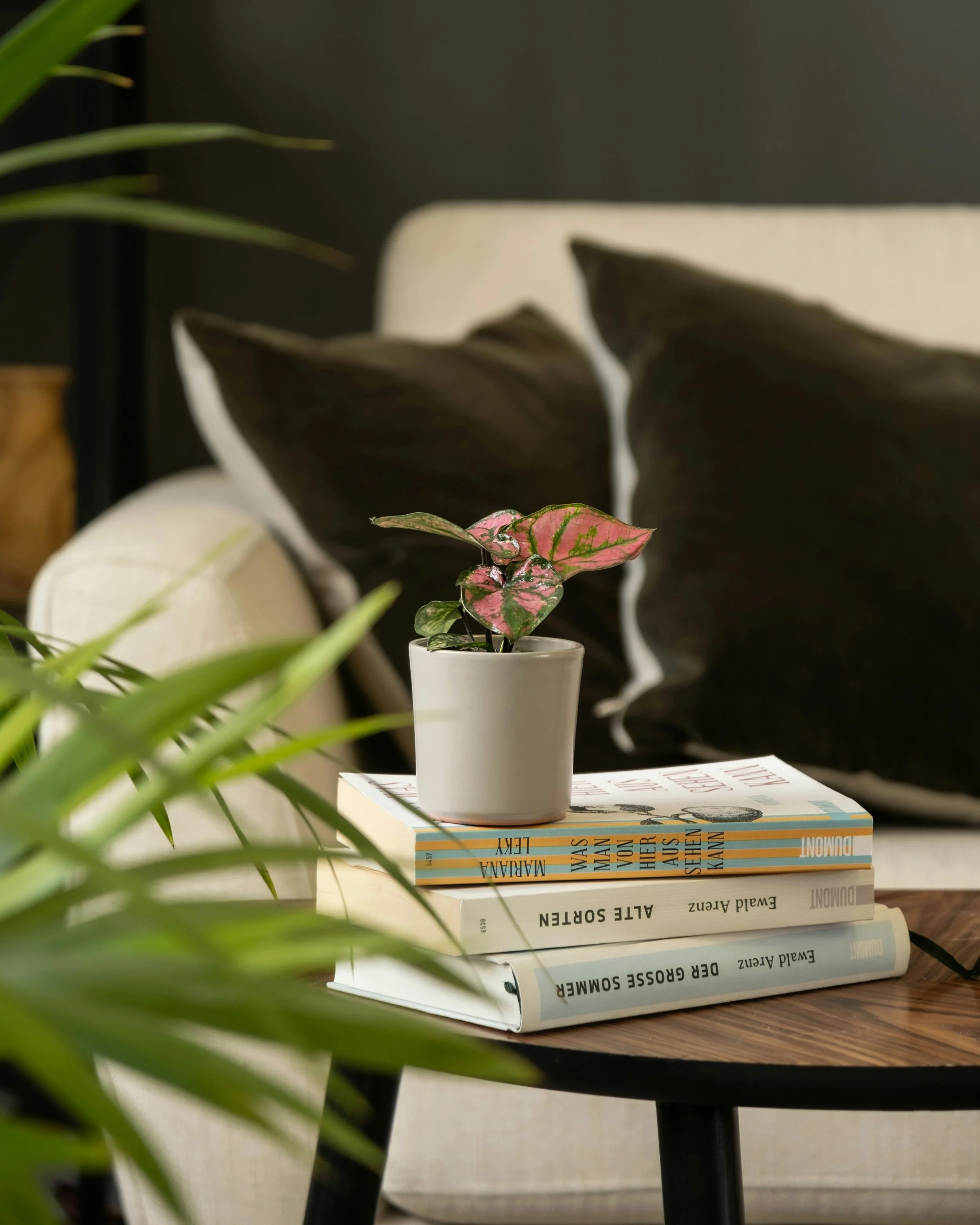 A small potted plant with pink and green leaves sitting on a stack of five books on a wooden table. In the background, there is a beige sofa with dark pillows and a black wall.