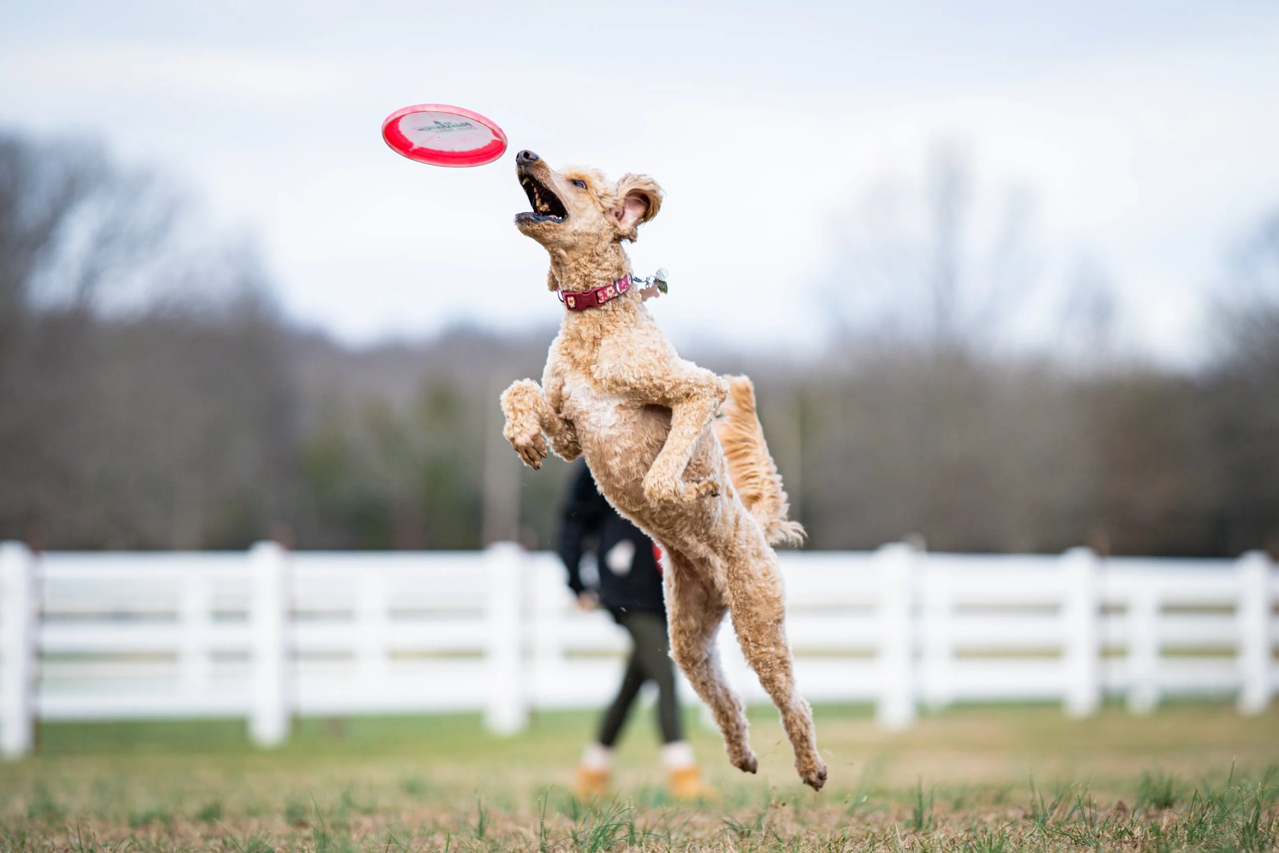 Nashvertical Training Day
