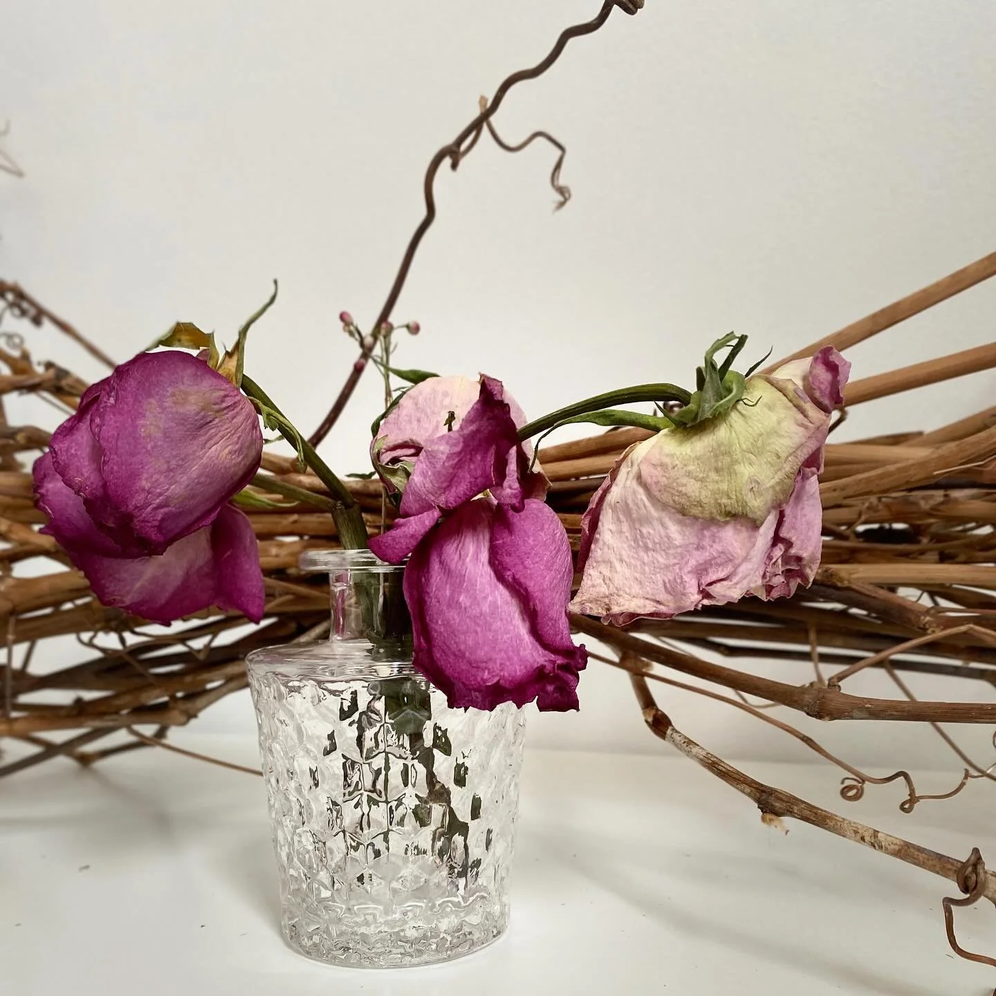 Dead Still Bloom 3