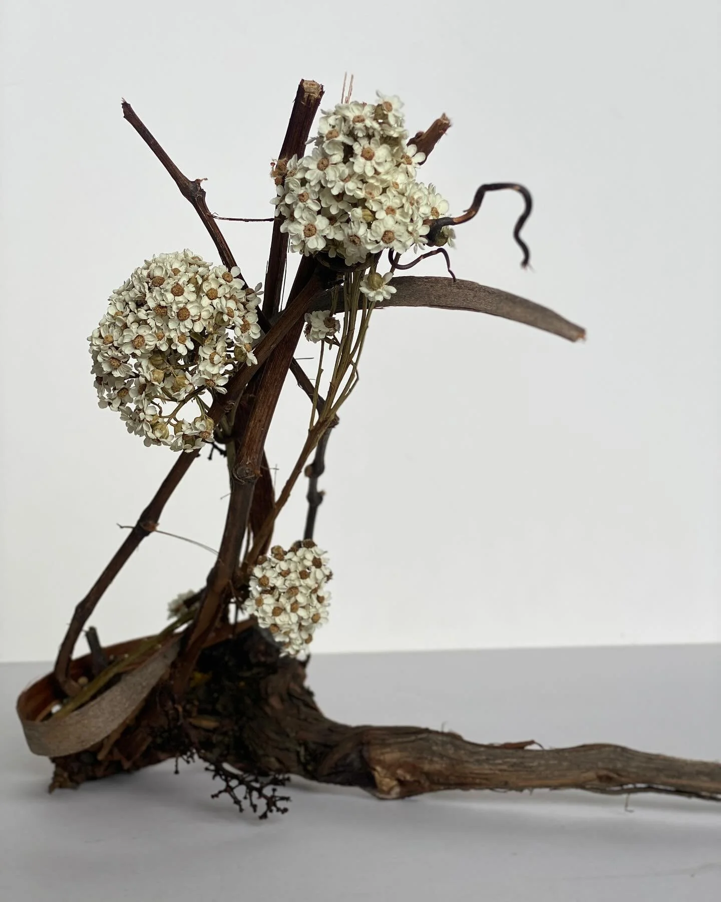 Clara et Fortis (Brave and Bright) on show at @brunswickstreetgallery Small Art Works exhibition in January 2025