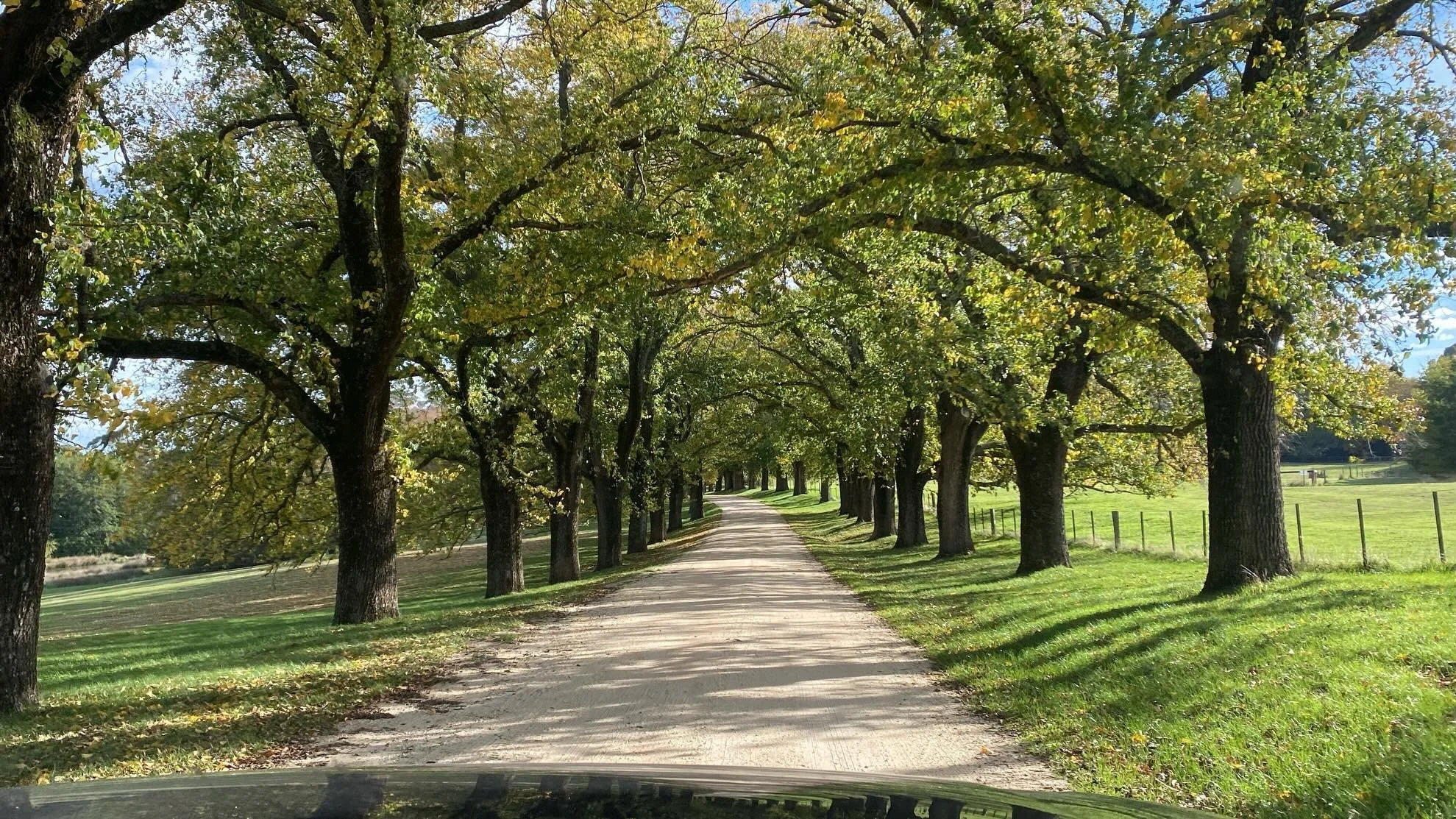 The incredibly beautiful @wombatparkestate - thank you for opening the gates to a wonderland of nature, owned, cared for and tended by such grateful and passionate custodians! A joy to walk around, and then do another lap just before you think you&rs