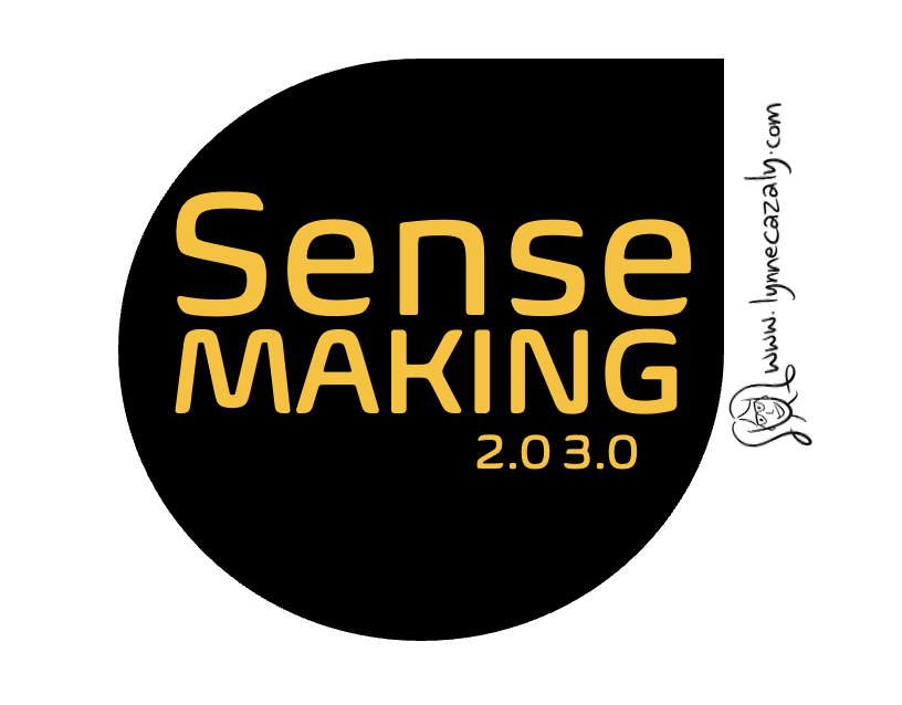 Sensemaking 2.0 3.0