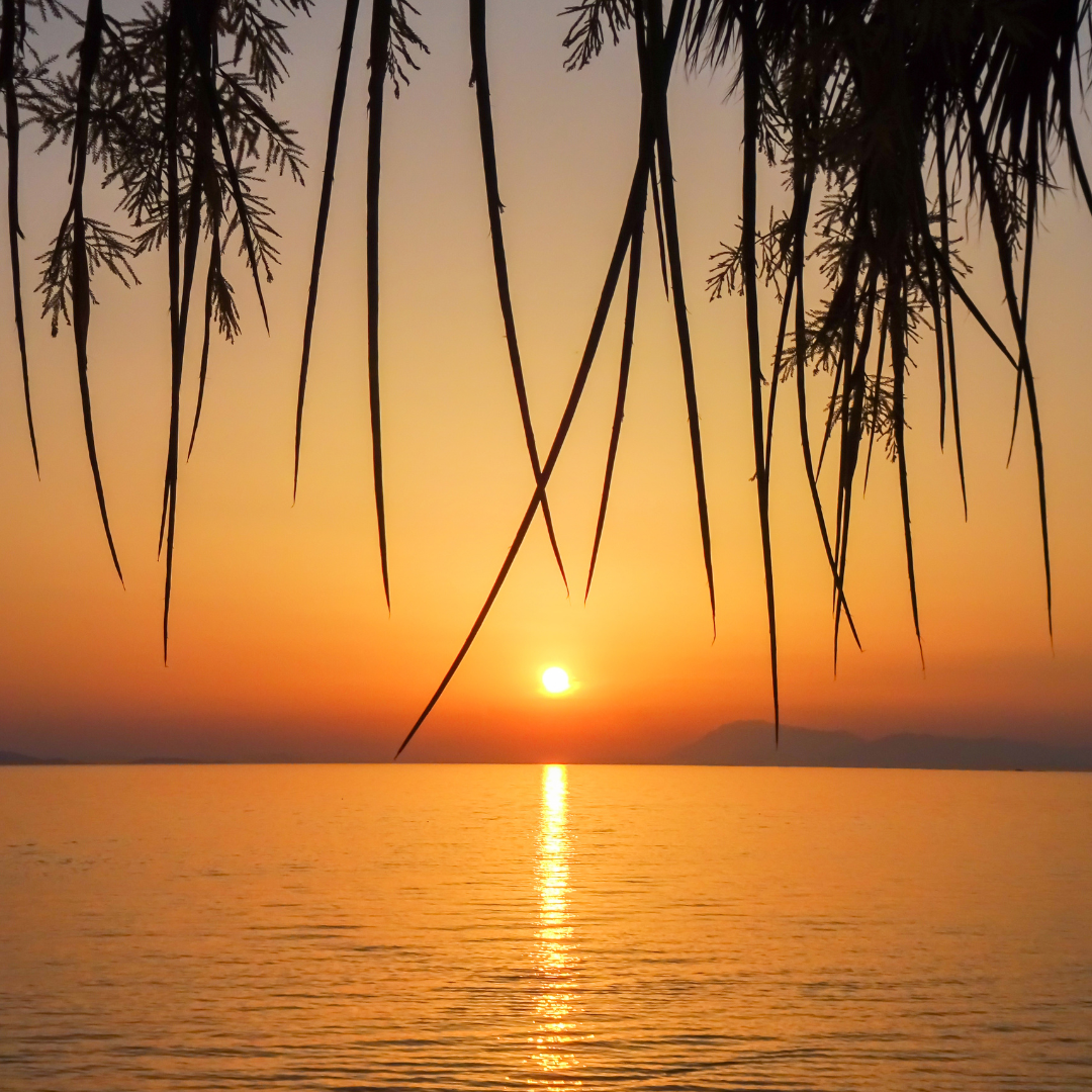 Ever feel like you've lost yourself?