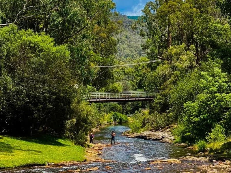 Your Wellness Itinerary for a Relaxing Stay in Bright, Victoria