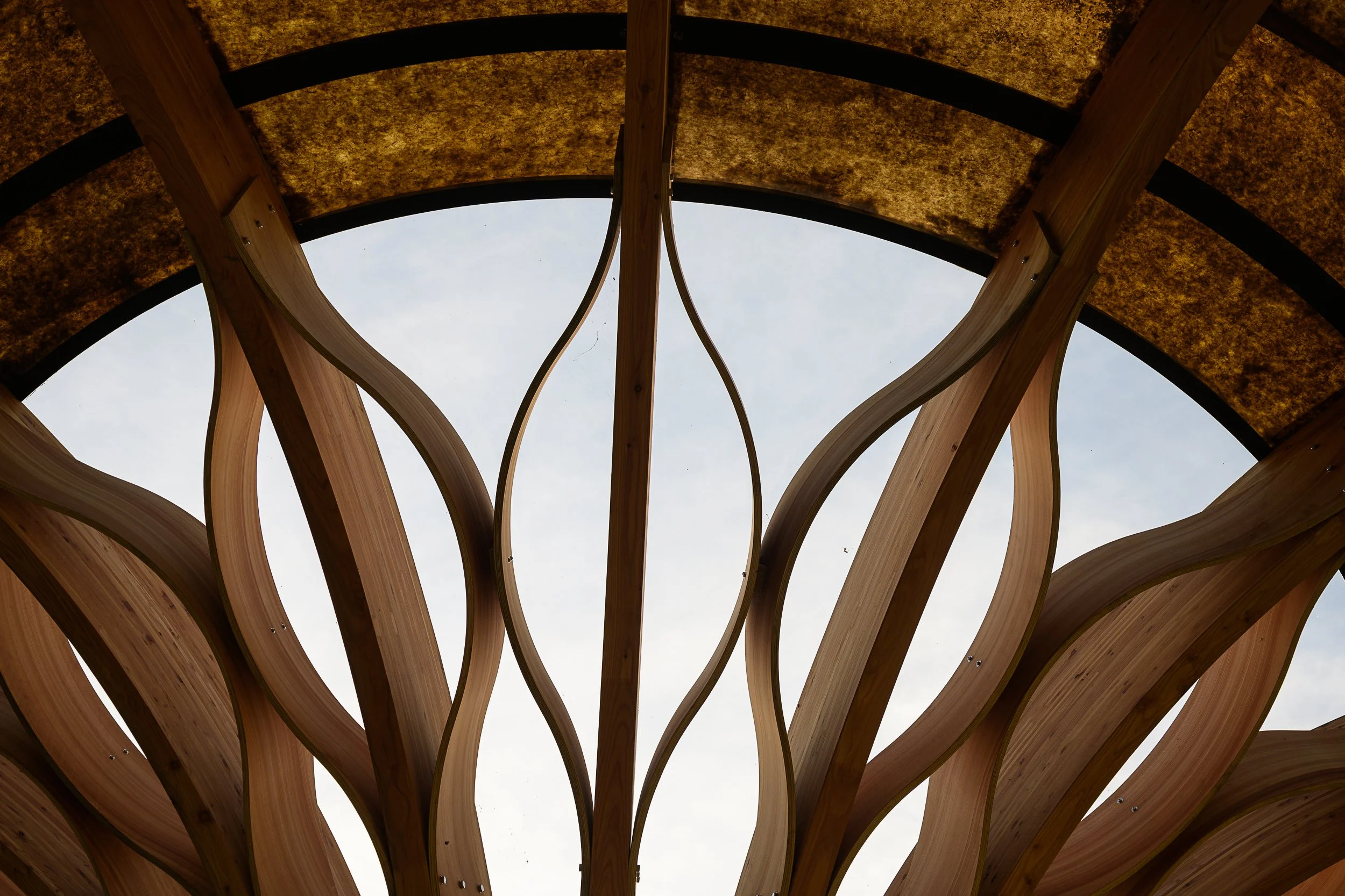 Carbon garden mushroom, Kew