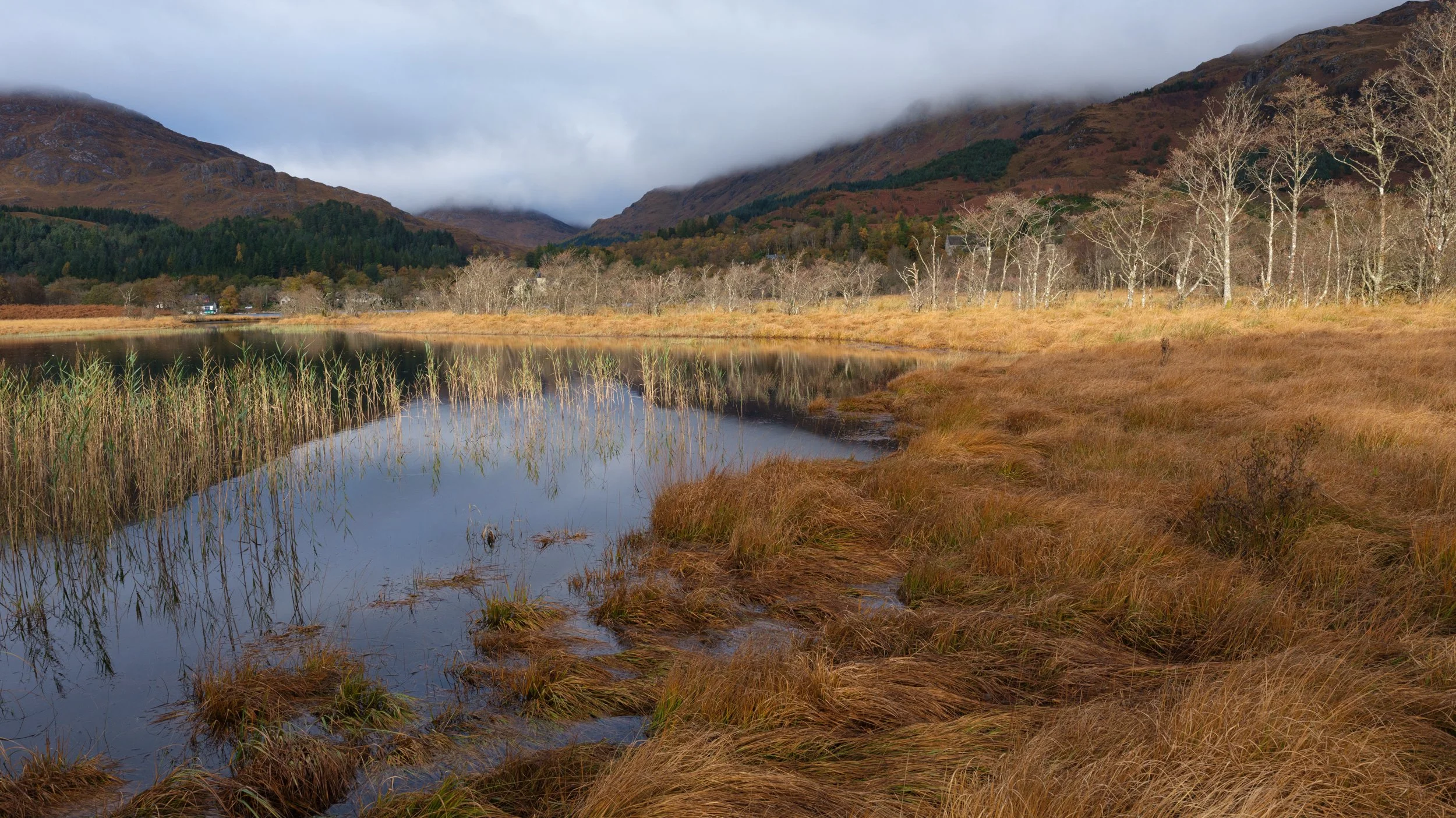Glenfinnan valley and monument, Scotland