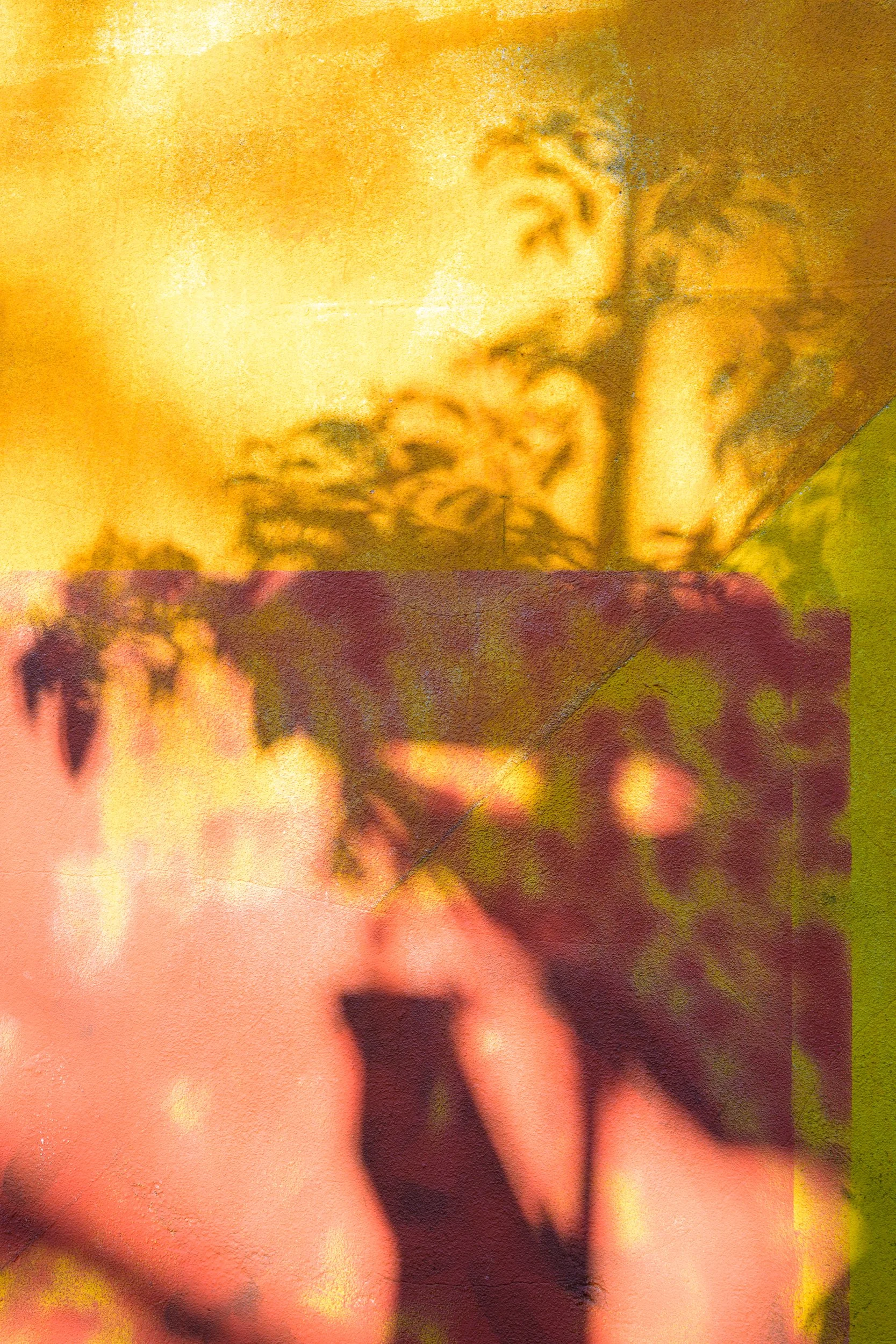 Walthamstow walk art shadow plant