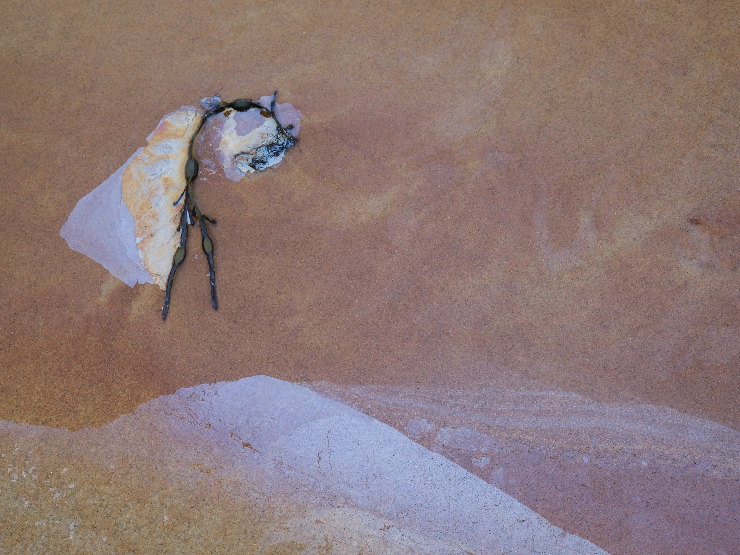 Seaweed walker sand mountain landscape Morar