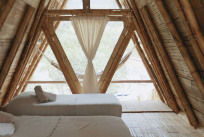 The Bloom Experience