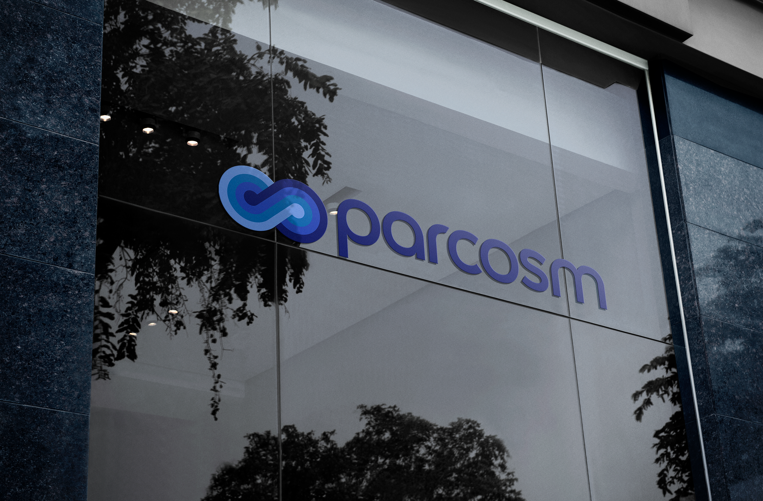 Case Study: Parcosm