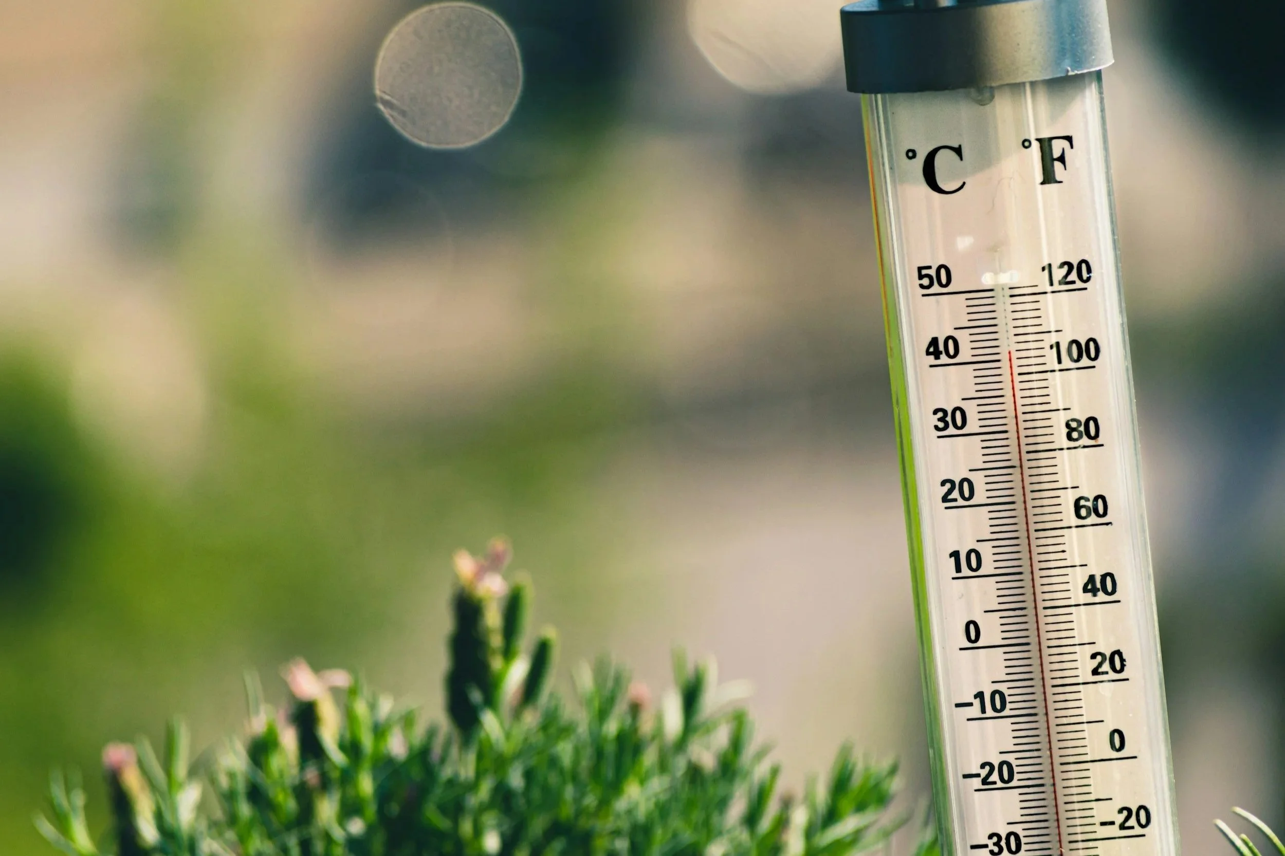 Every Team Has a Temperature