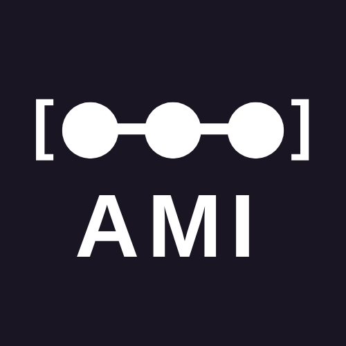 Accountability Mapping Initiative