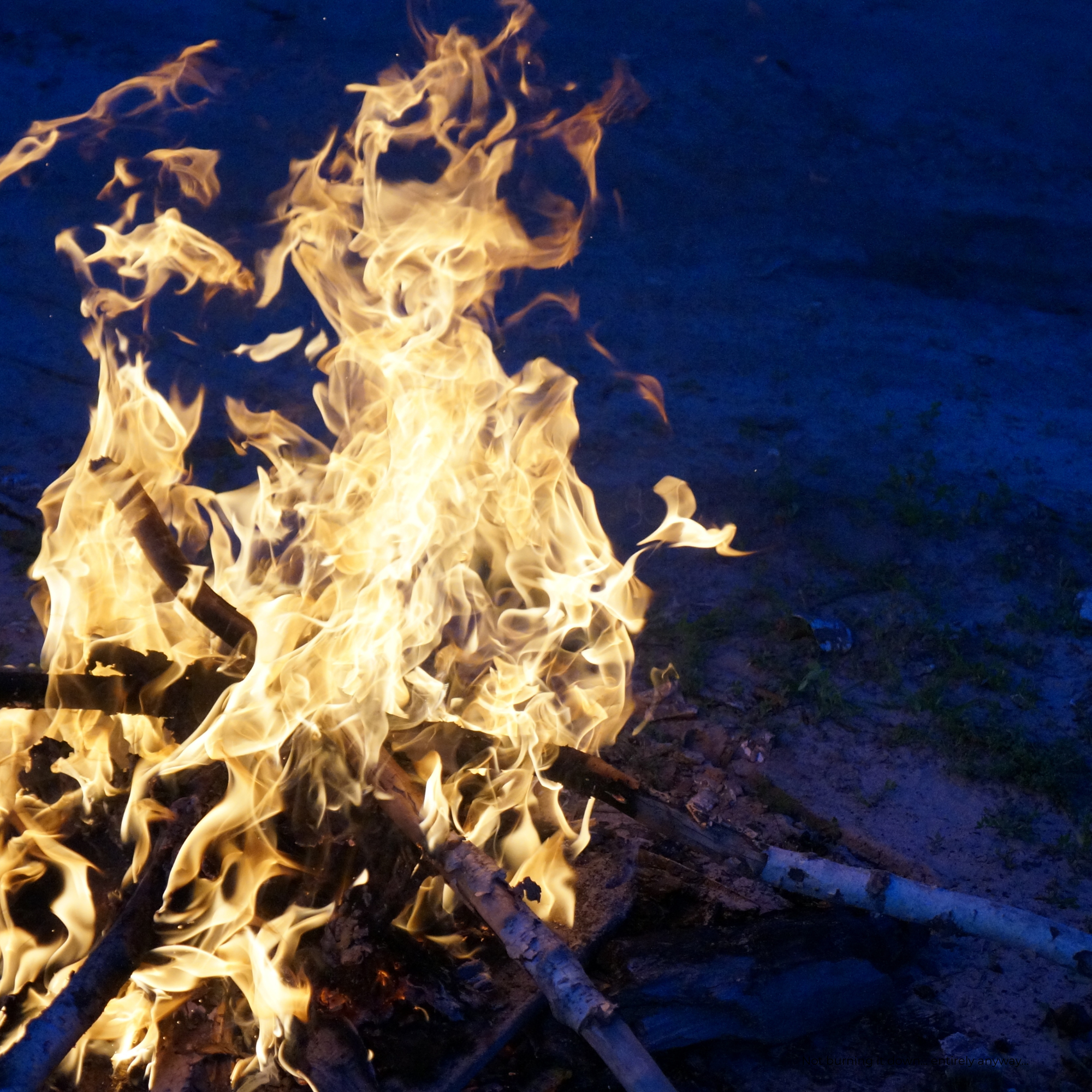 But what if they don’t want beige? (AKA Lessons on burning down your business.)