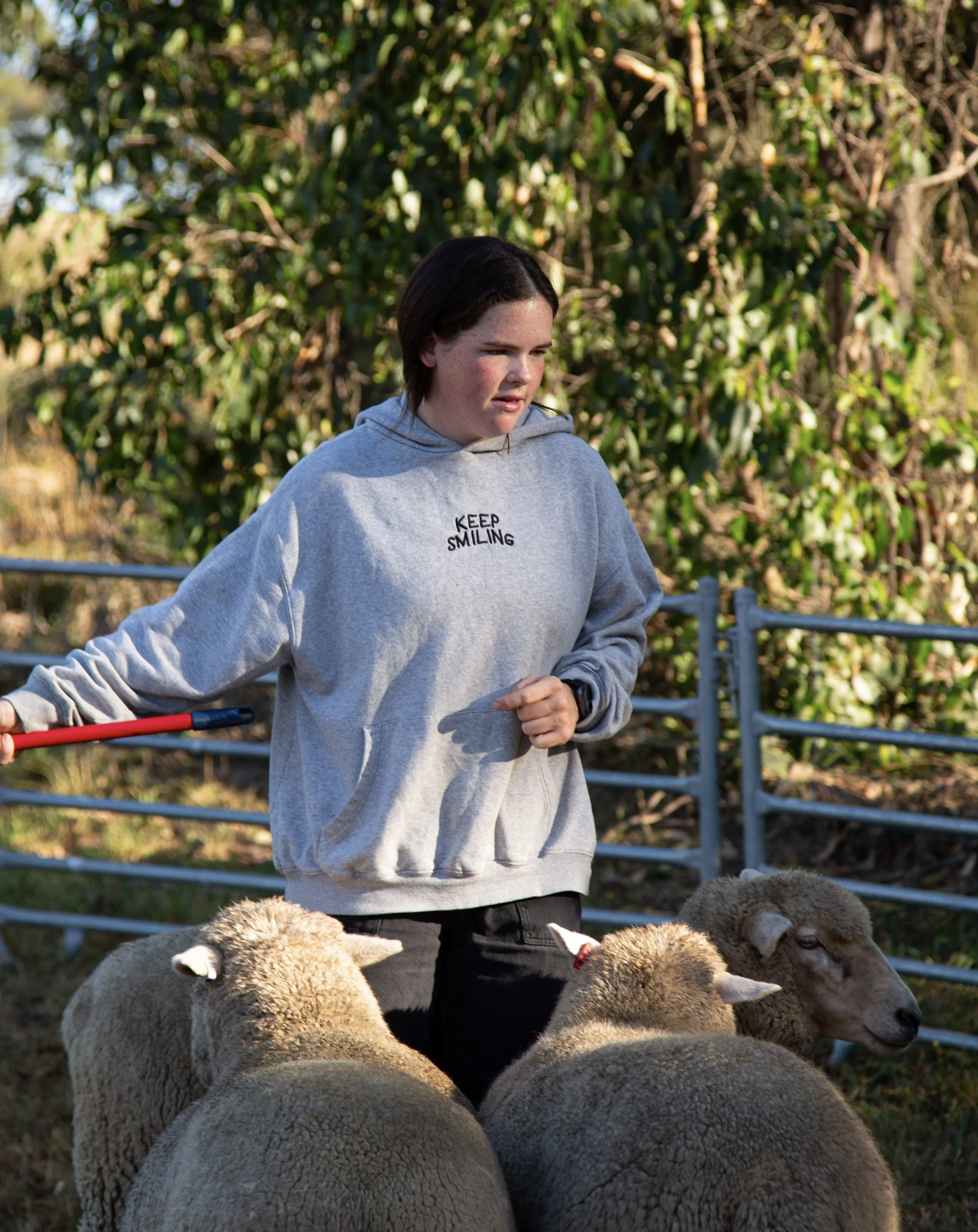A girl wearing a gray hoodie with 'KEEP SMILING' written on it, walking with a red stick among three sheep in a fenced outdoor area.