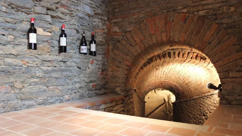 Fea Vini cellar