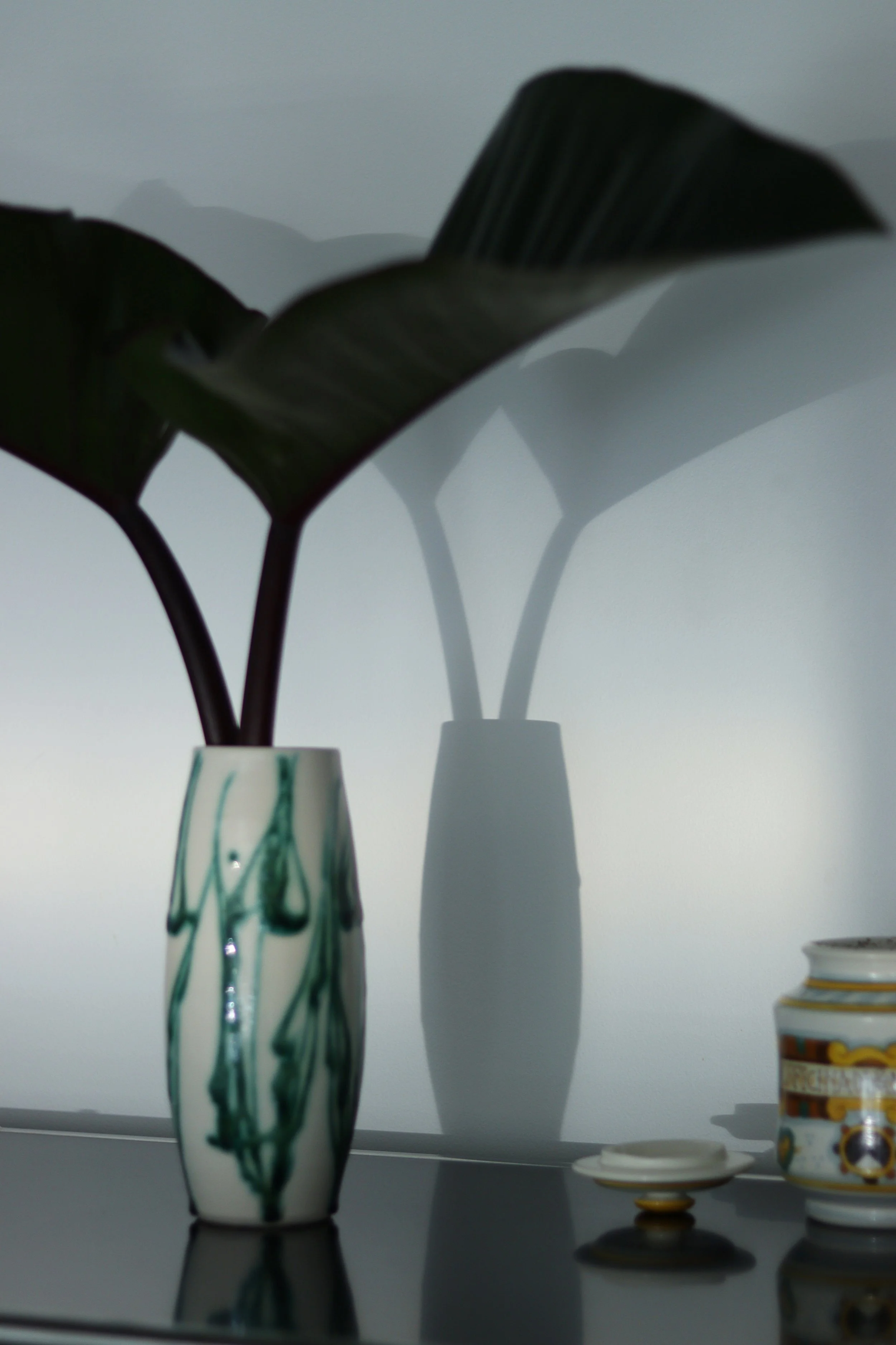 ASENDADA Studio Flowers。陶器の花器に生けた大きな葉と、壁に映る植物の影を捉えた静物写真。
