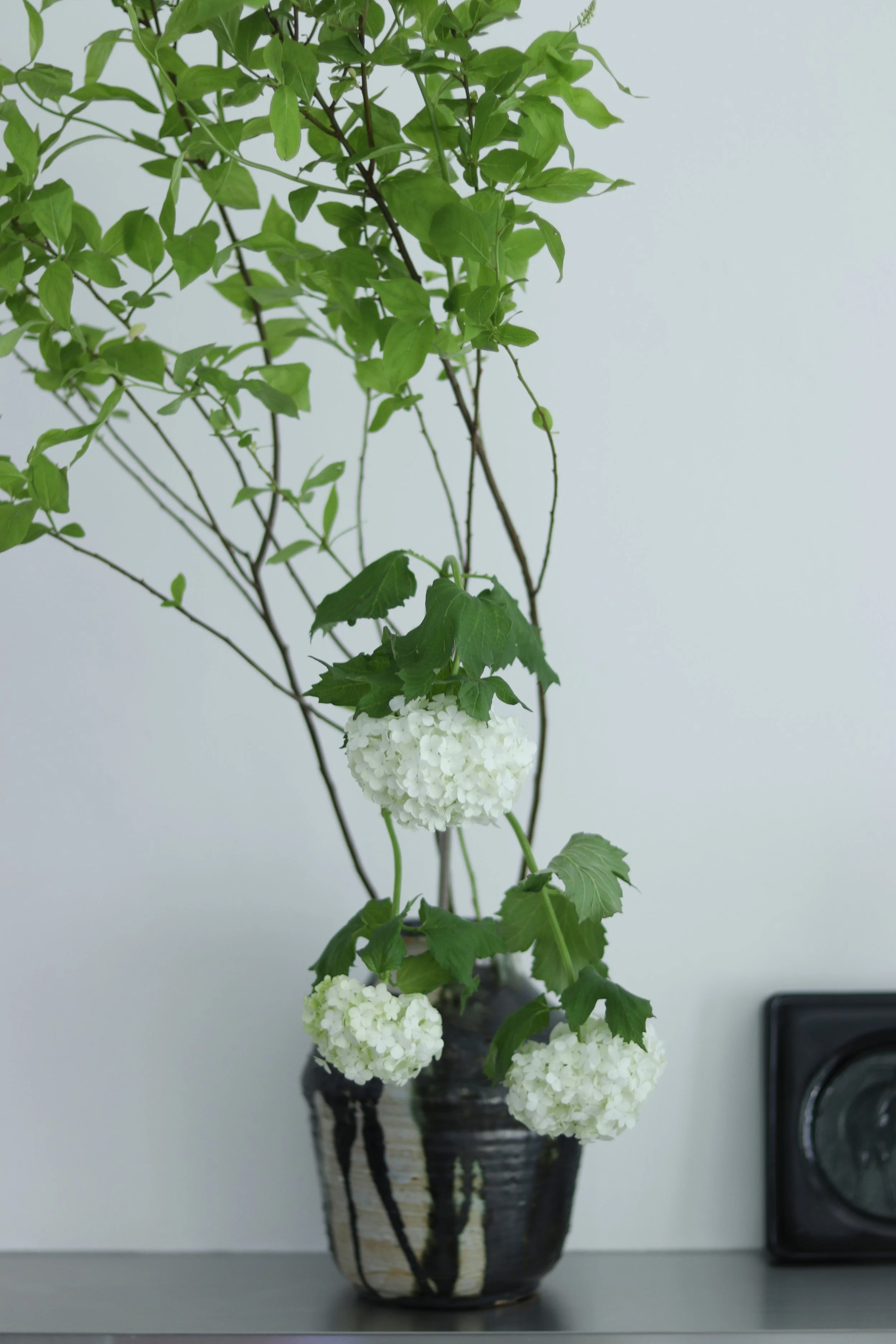 Studio Flowers