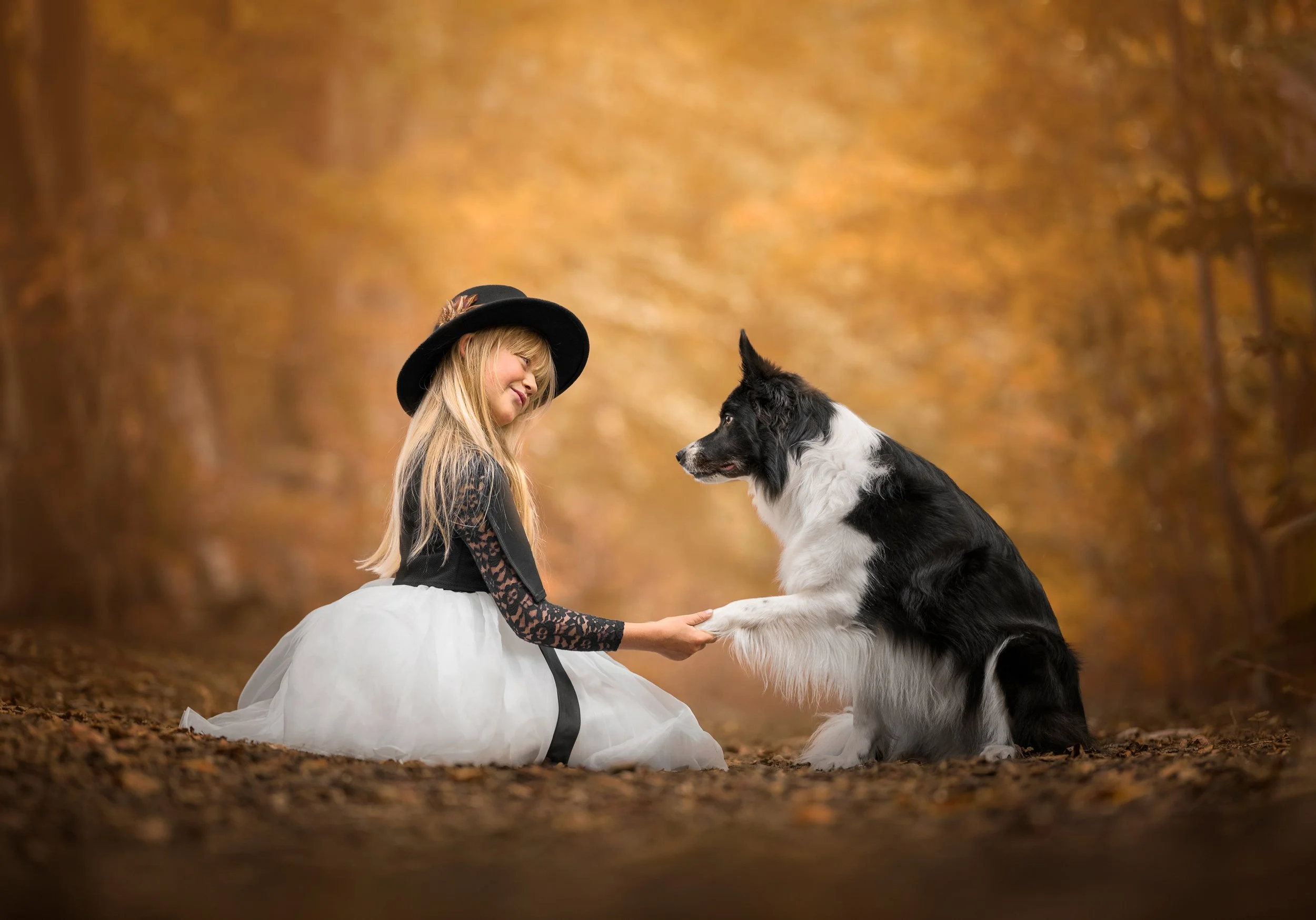 A young girl dressed in black with a white skirt and black hat, sitting on the ground in a wooded area, holding hands with a black and white border collie dog, with an autumn background of trees and fallen leaves.