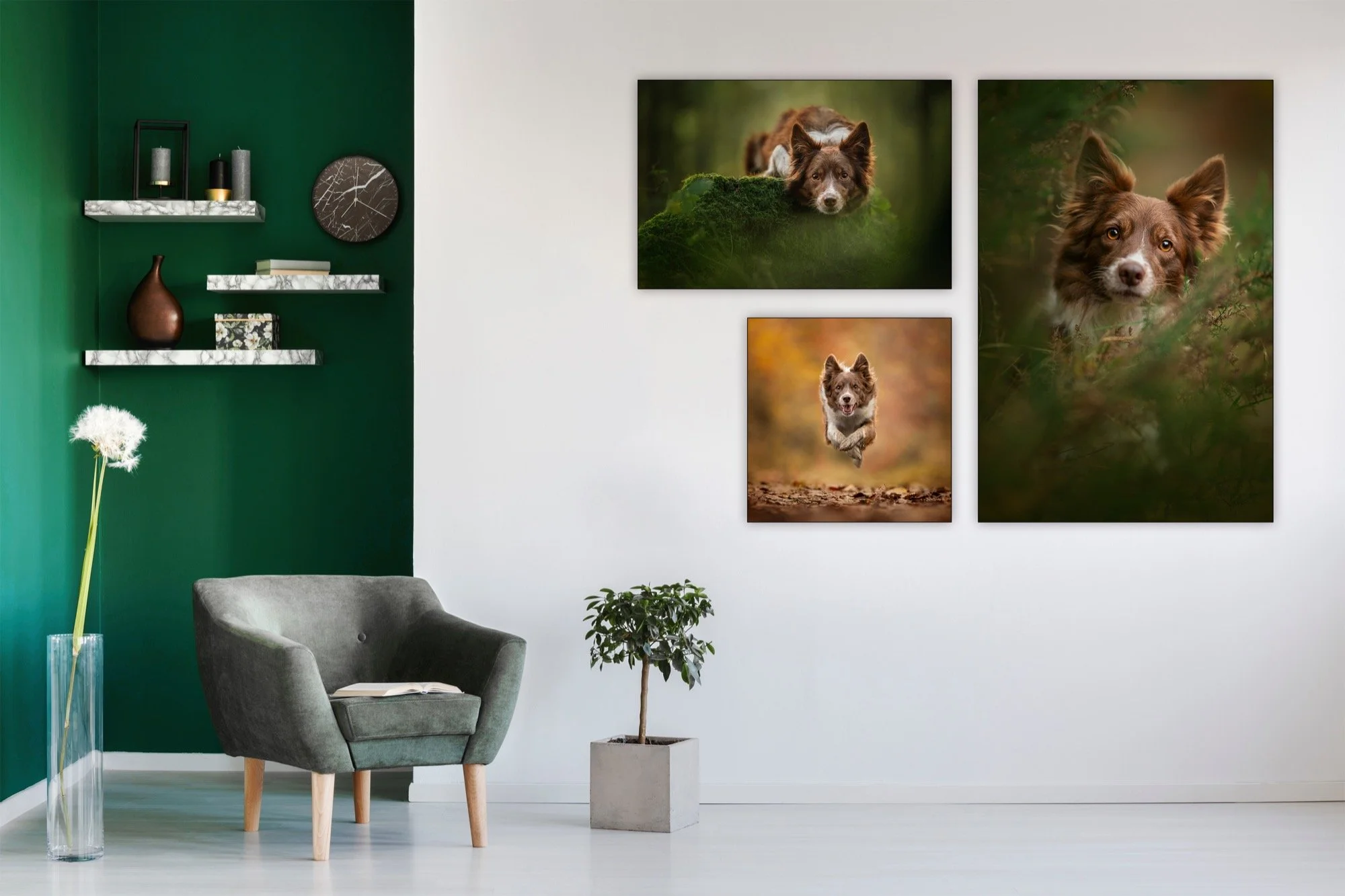 Living room with green and white walls, decorated with framed nature and dog photographs, a grey chair, a potted plant, a tall vase with a dandelion seed head, and floating marble shelves with decorative items.