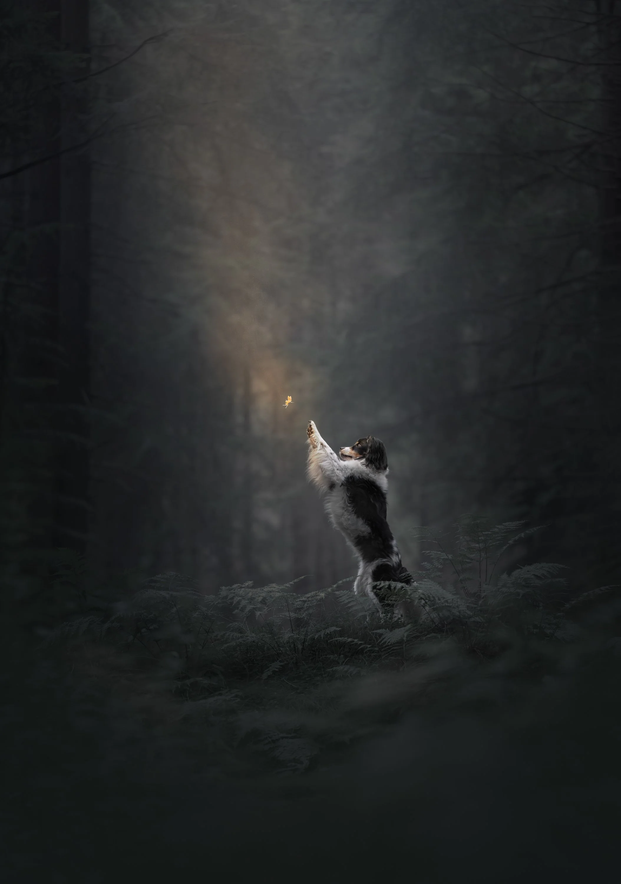 A dog standing on its hind legs in a dark forest, reaching out to catch a falling leaf illuminated by a soft beam of light.