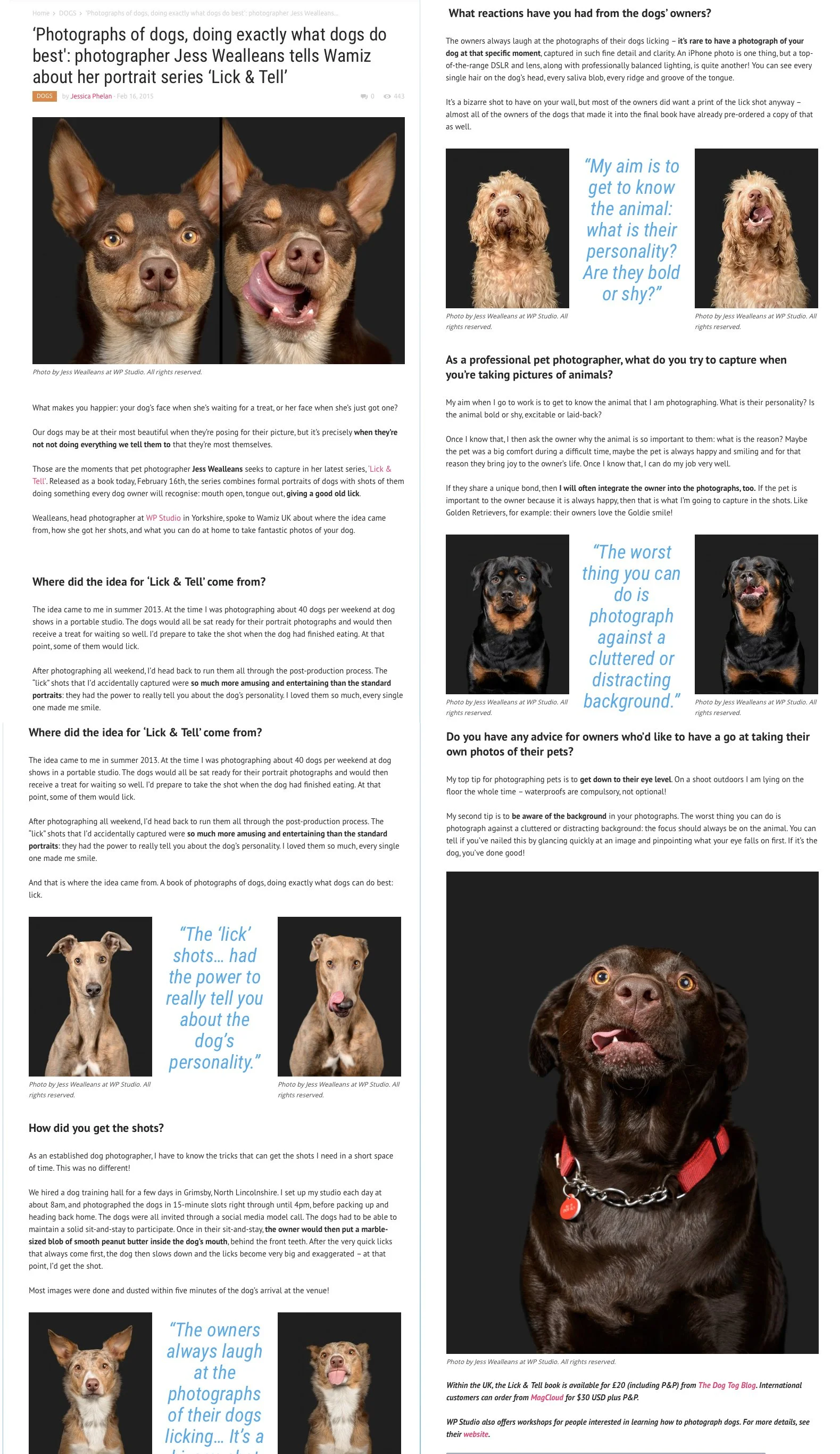 Side-by-side photos of two dogs, one with upright ears and the other with floppy ears, both showing playful expressions.