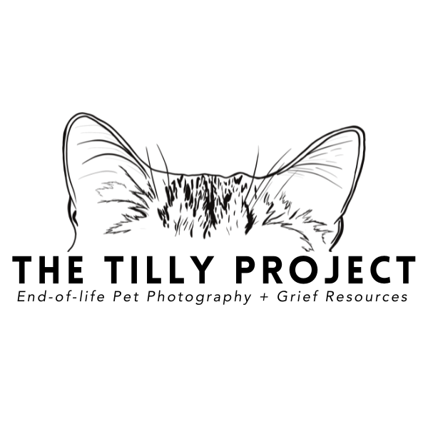 TTP-Final-Logo-5.png