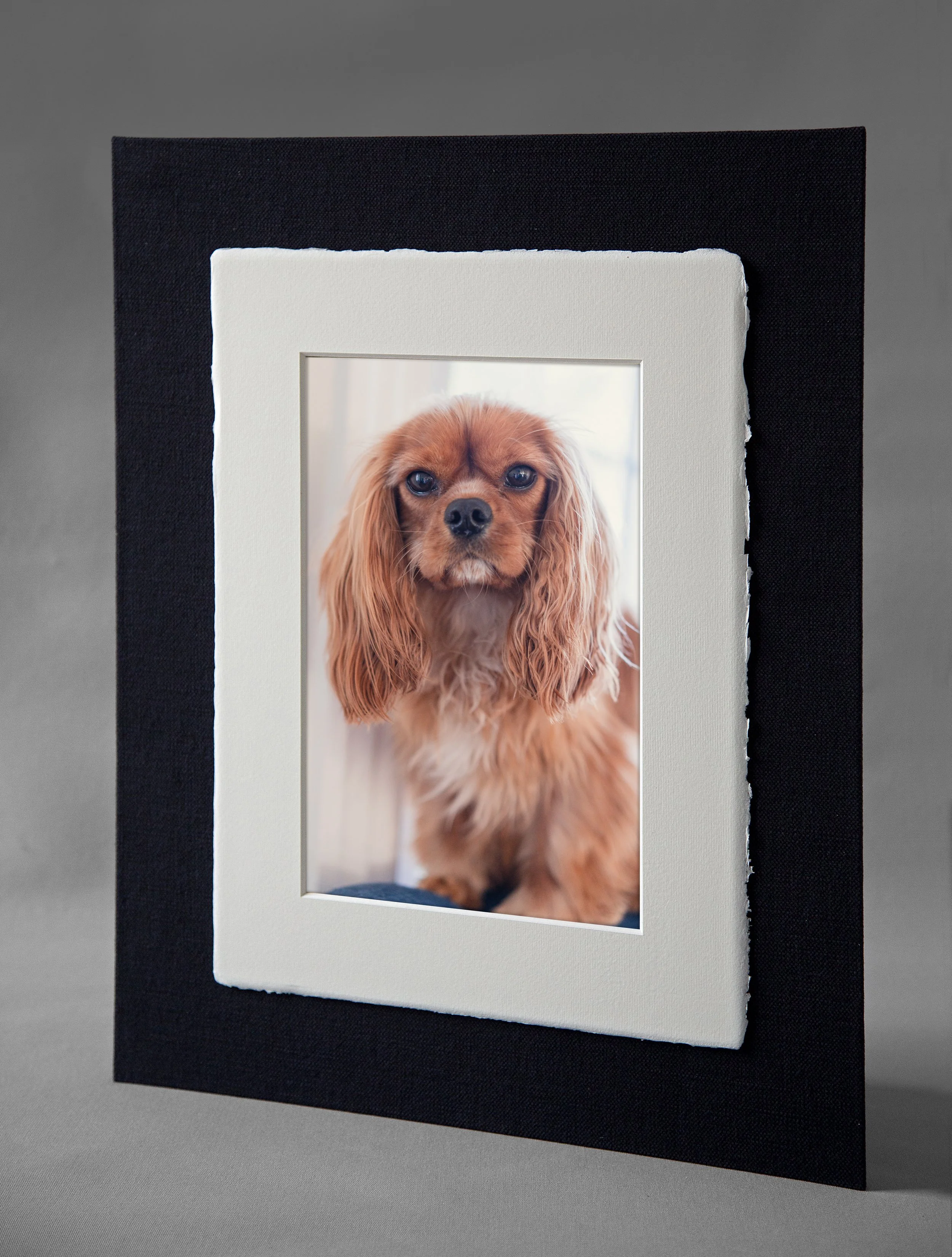 Image of Amalfi panel features dog portrait and linen mount