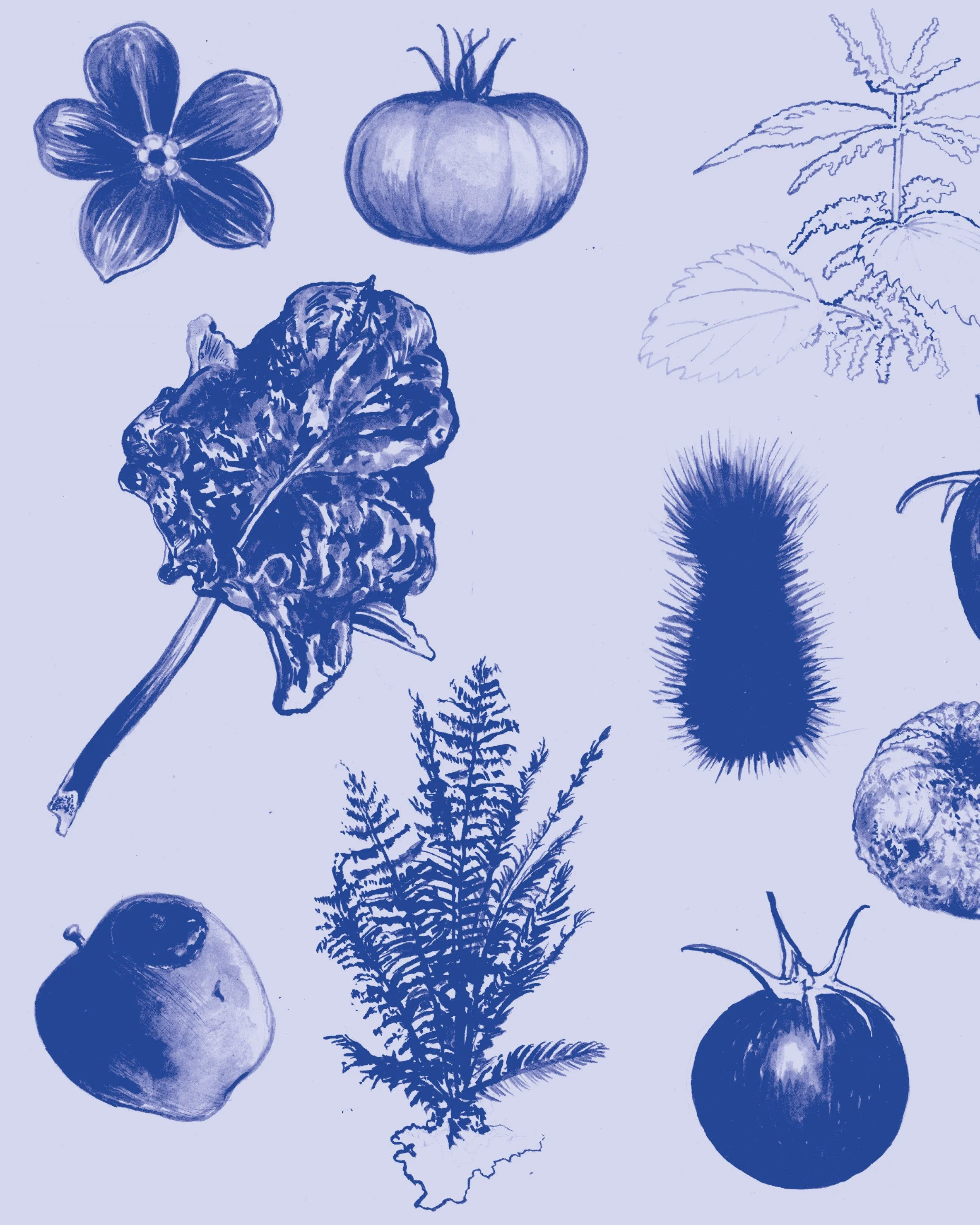 Blue monochrome illustration featuring various fruits and vegetables including a flower, a tomato, a leafy vegetable, a berry, a leafy plant, and strips of fern.