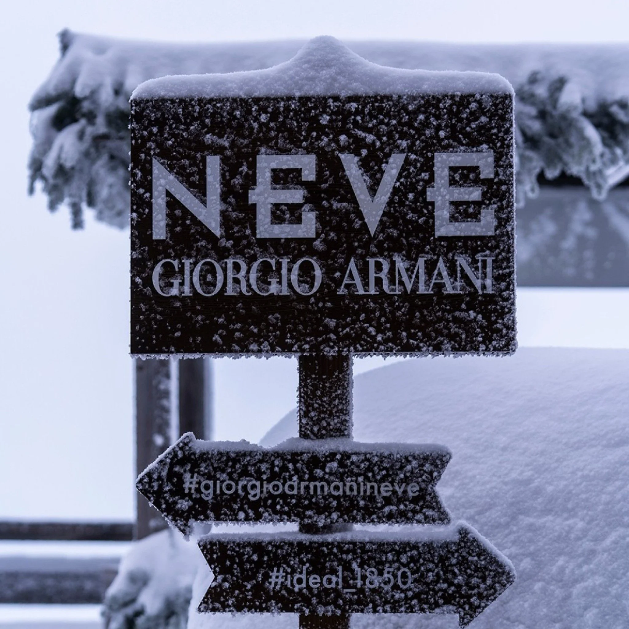 Neve Megeve.jpg