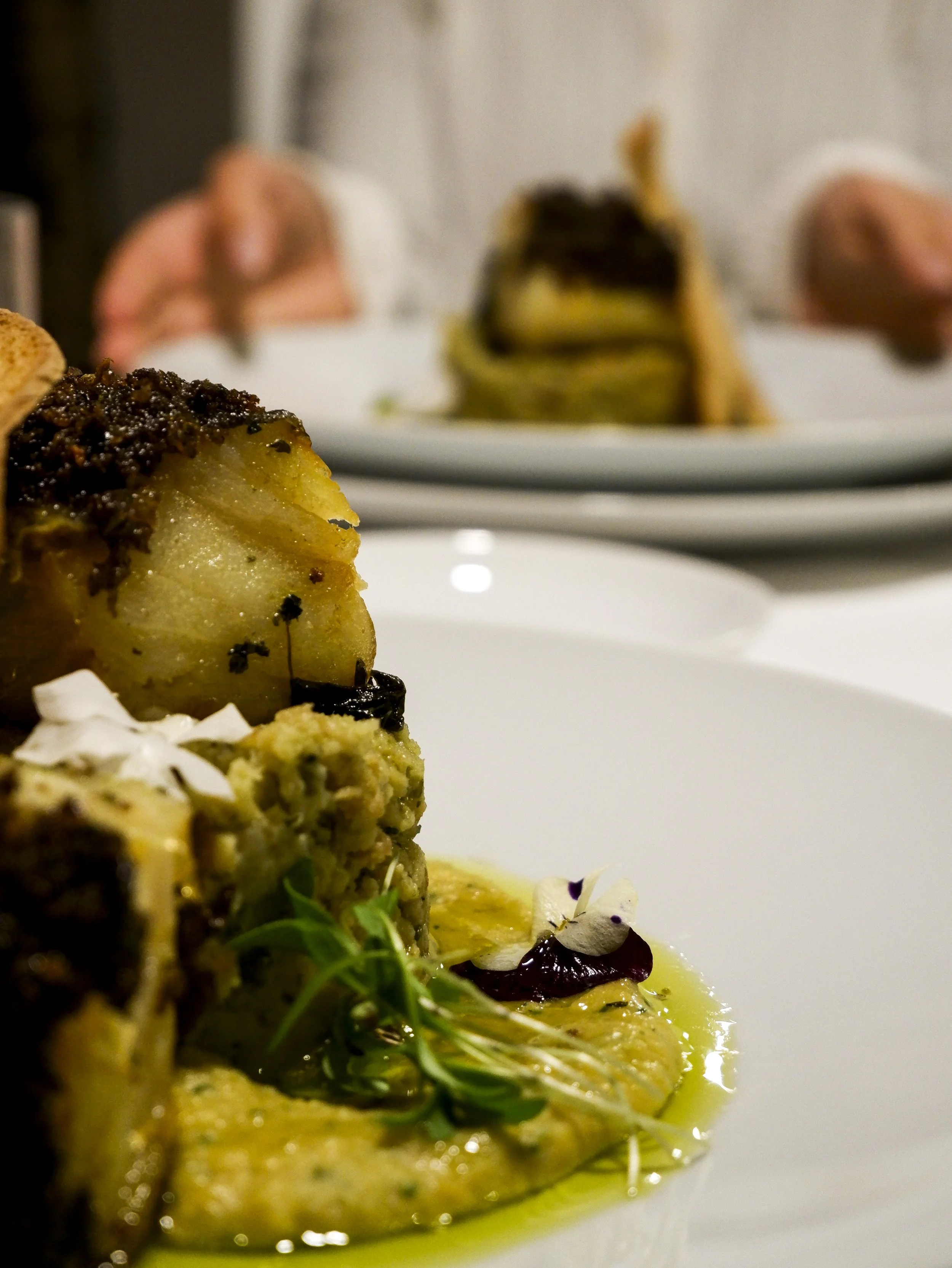 Refined plated dish with golden potato layers, herbs, and vibrant olive oil sauce, highlighting contemporary Alentejo cuisine, Land of Alandroal – Alandroal, Portugal.