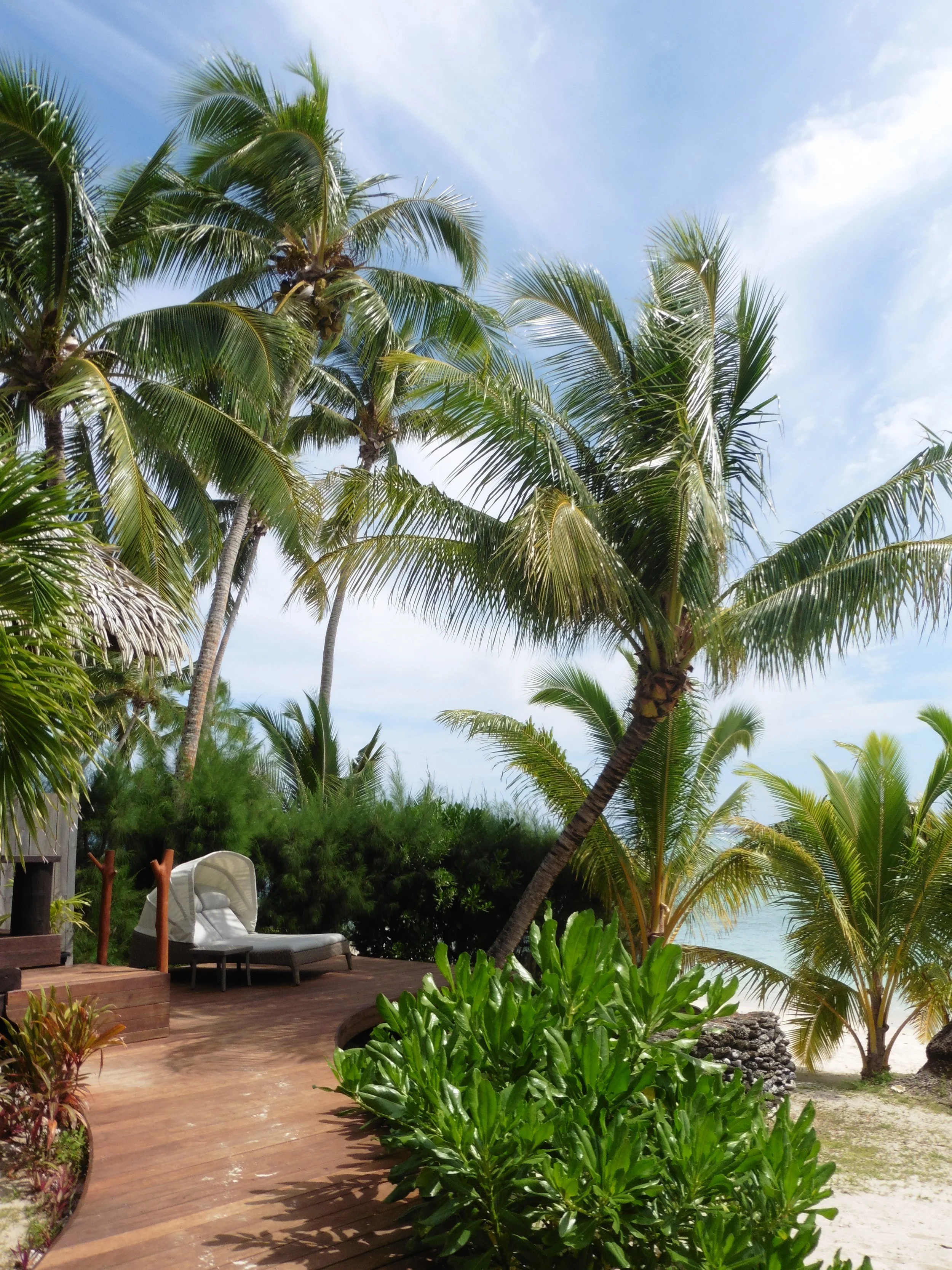 Beachfront deck surrounded by palm trees at Tamanu Beach Resort in Aitutaki