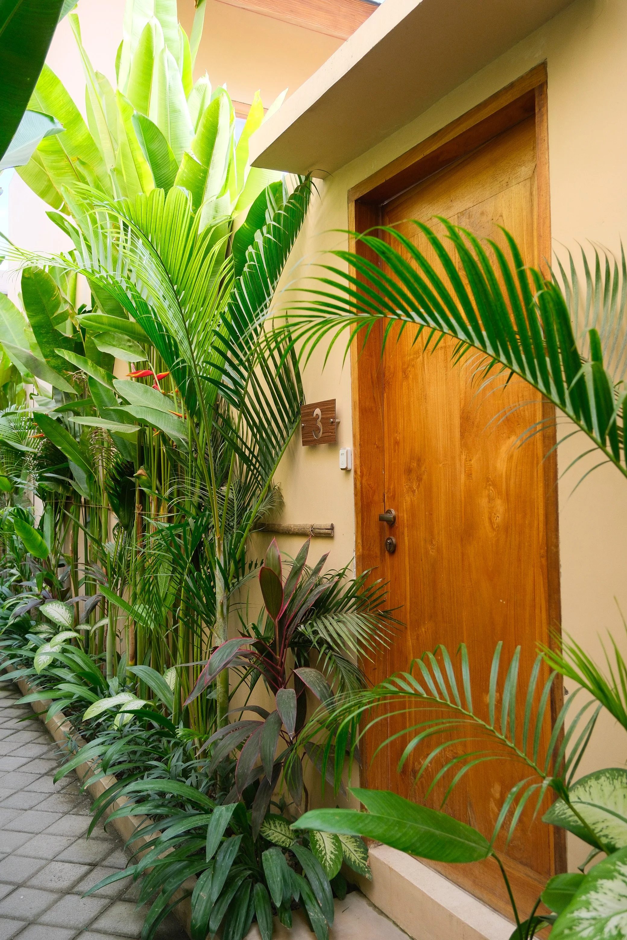 Lush tropical pathway leading to the private villa entrance