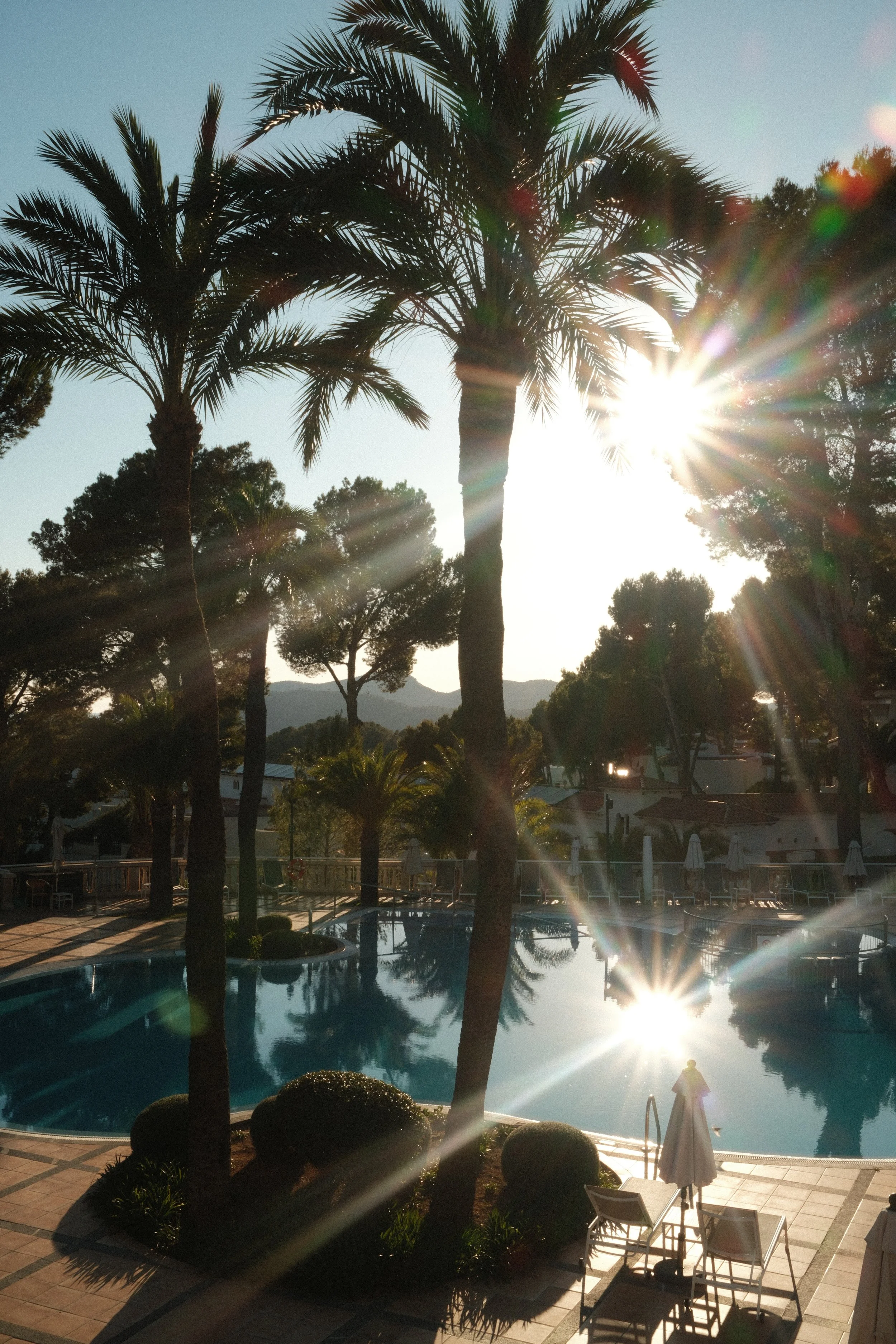 Golden sunlight filtering through palm trees beside the resort swimming pool