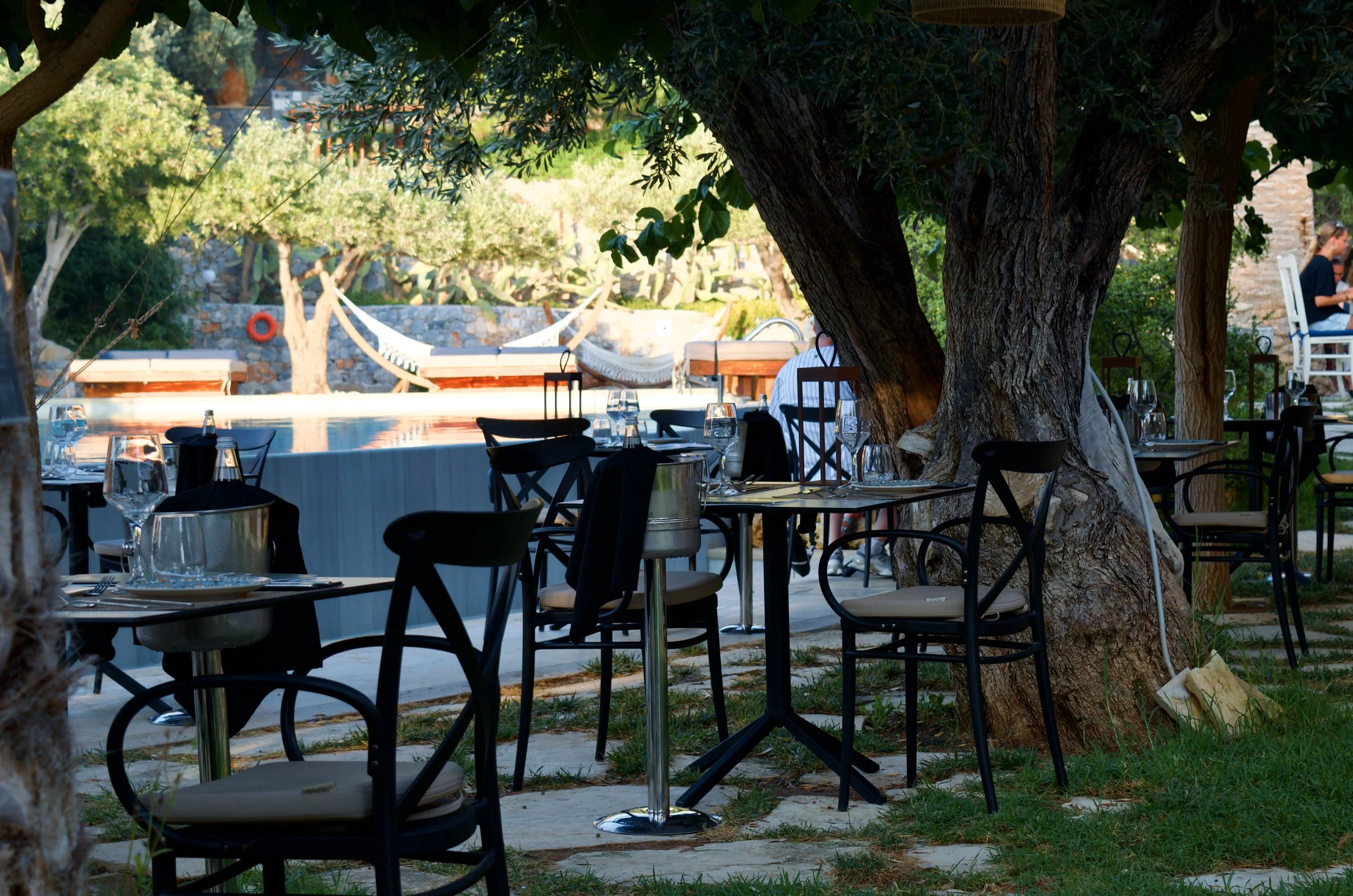 Contemporary wine menu inviting guests to discover local flavours in a tranquil garden setting