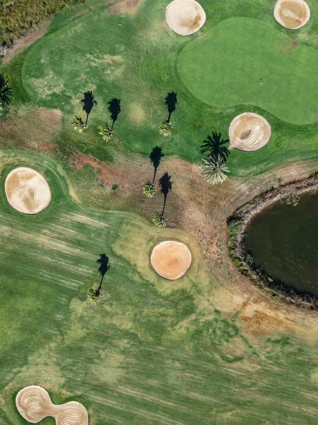 Championship golf course with manicured greens, sand bunkers, and lakes at Amendoeira Golf Resort