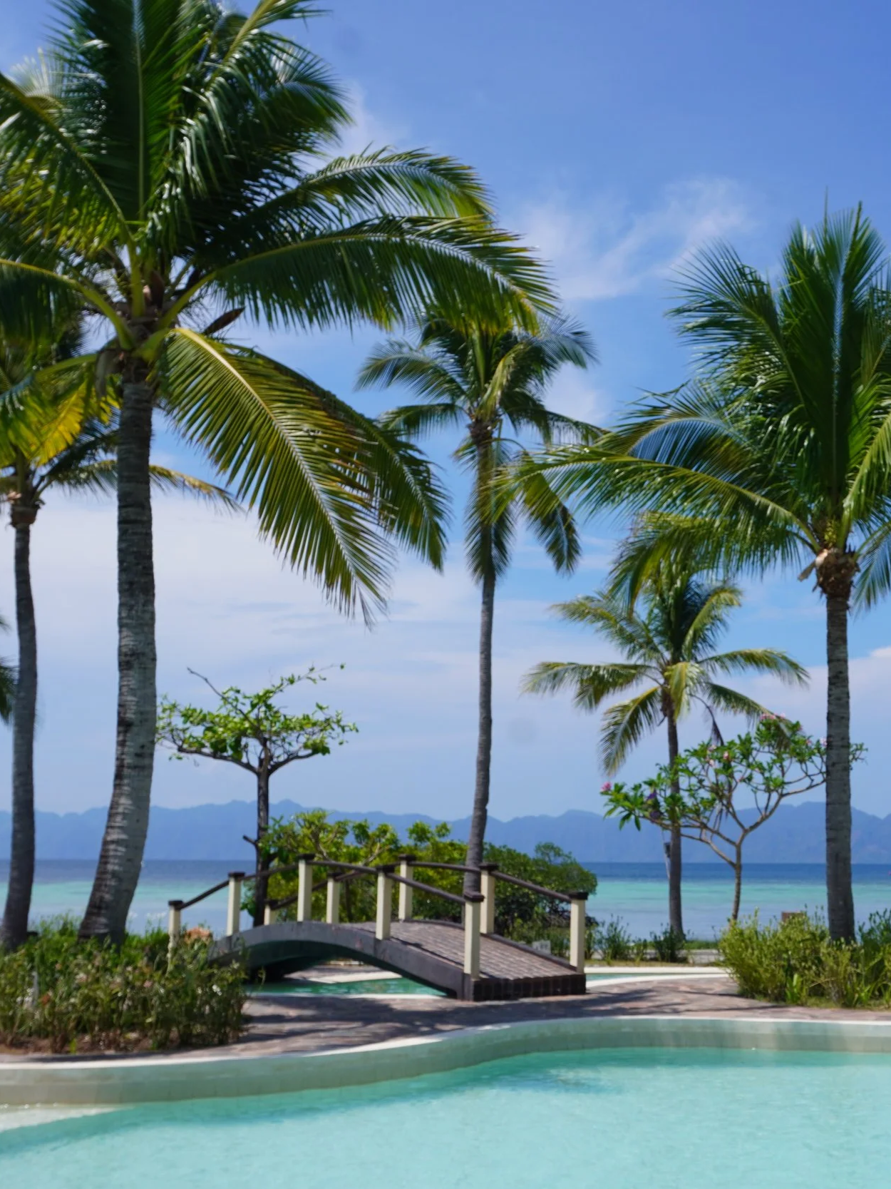 Lagoon-style swimming pool framed by palm trees overlooking the white-sand beach