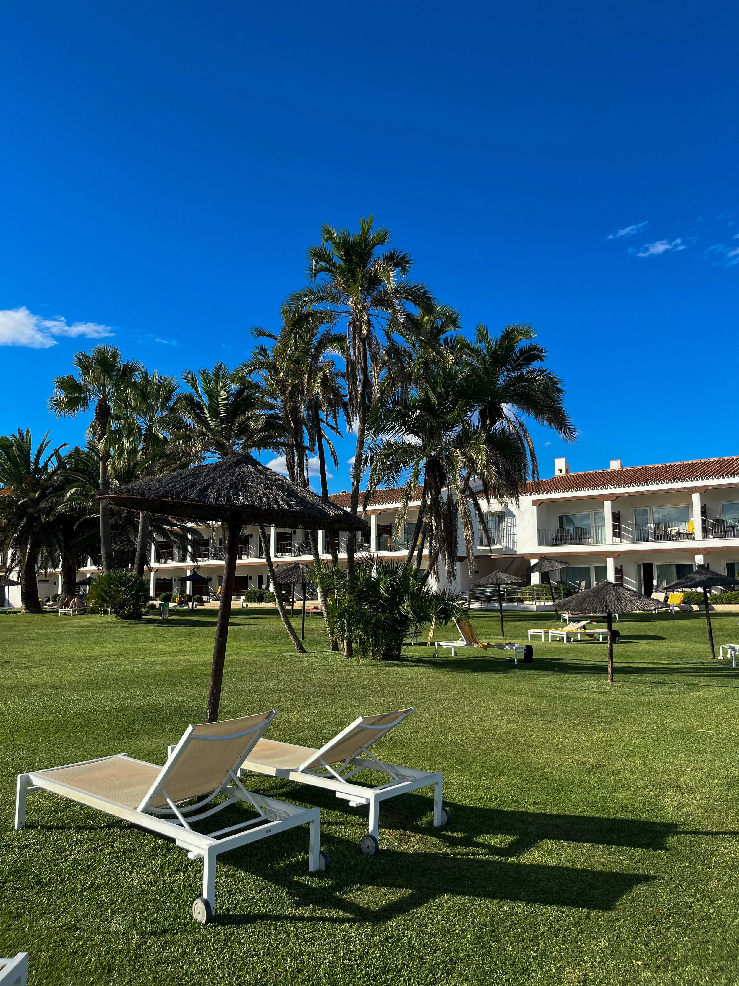 Palm-lined gardens with sun loungers and Mediterranean resort surroundings