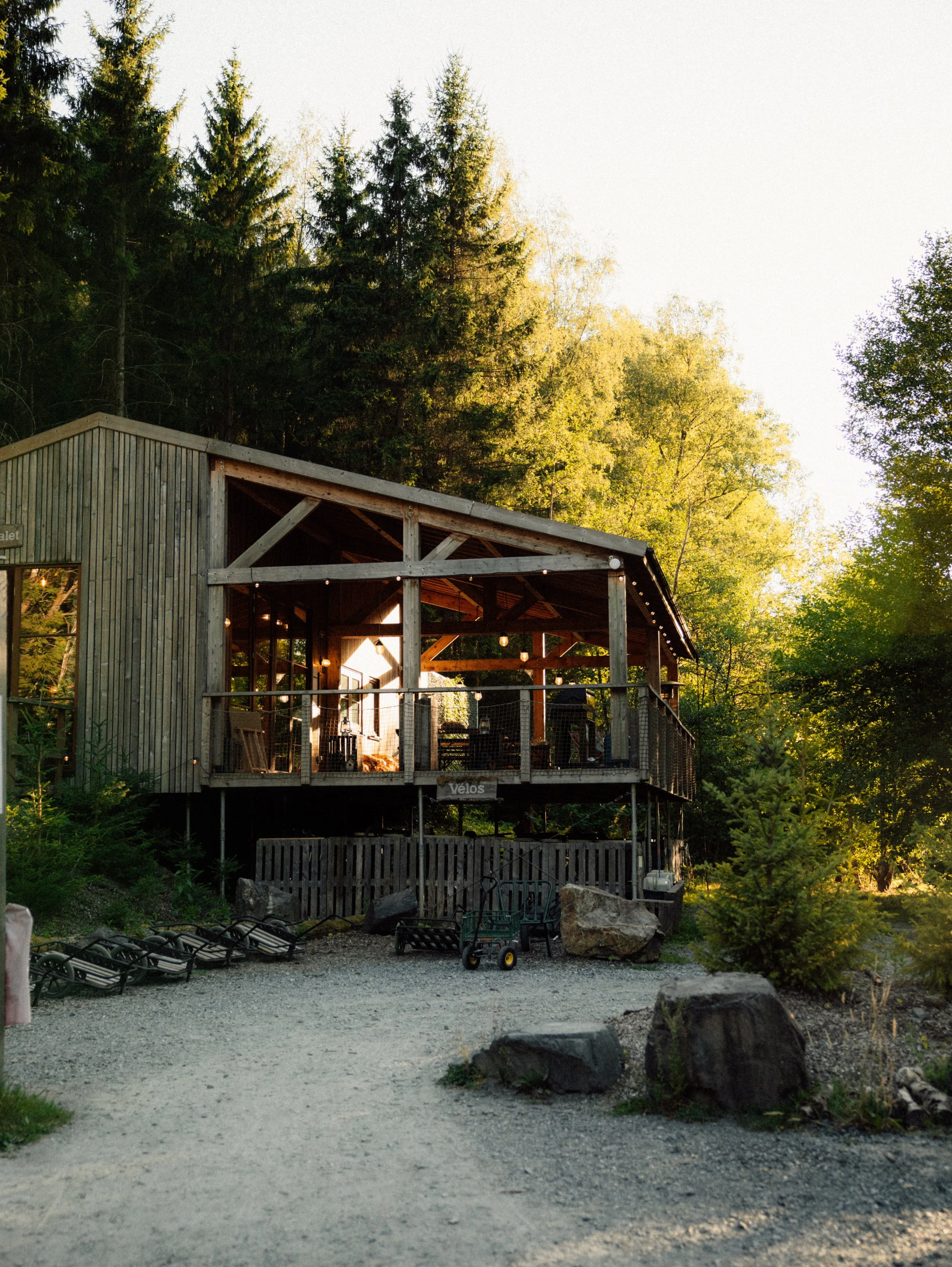 Main lodge surrounded by forest with inviting communal spaces and outdoor seating