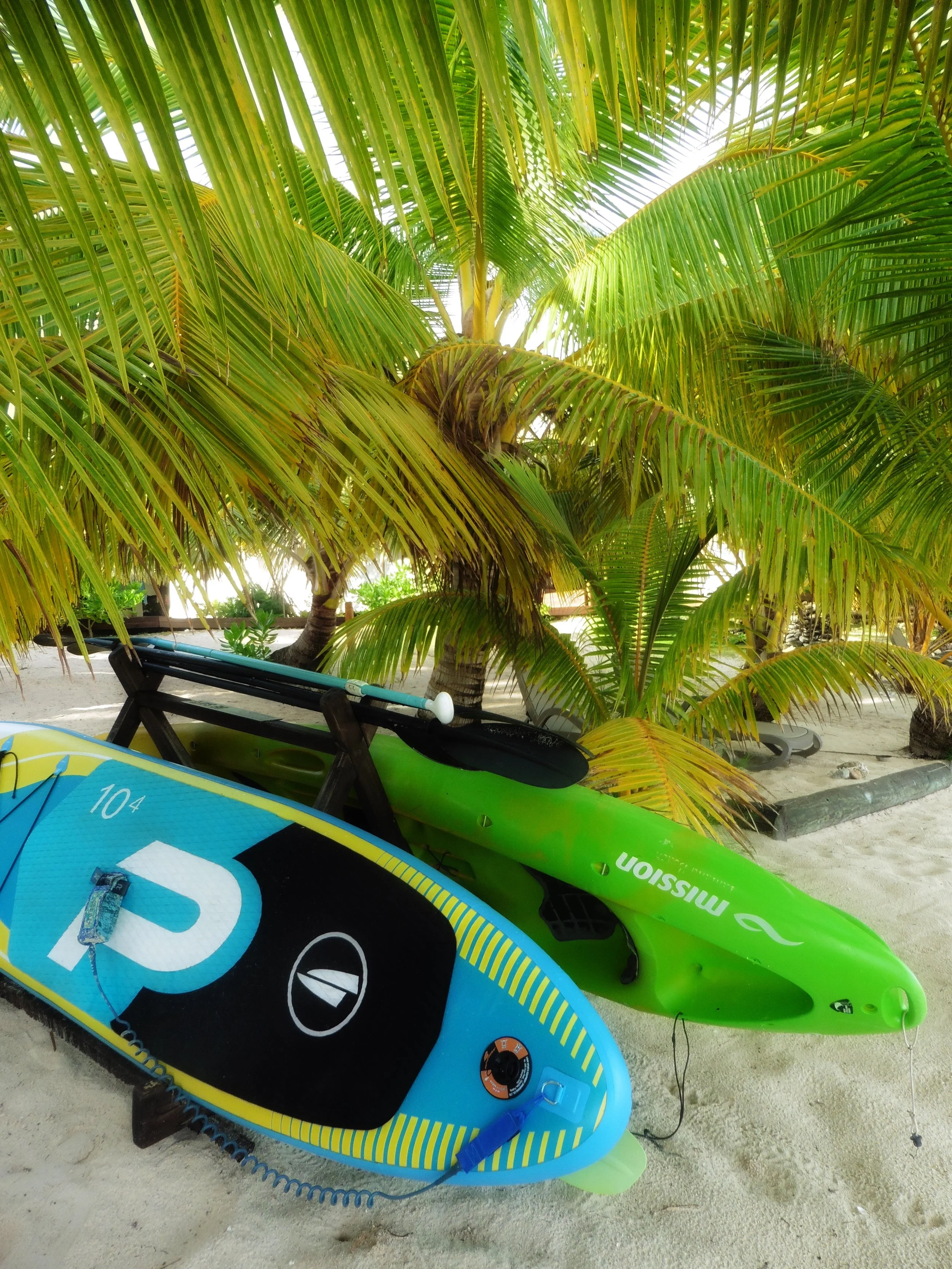 Kayaks and paddleboards resting beneath palm trees at Tamanu Beach Resort, Aitutaki