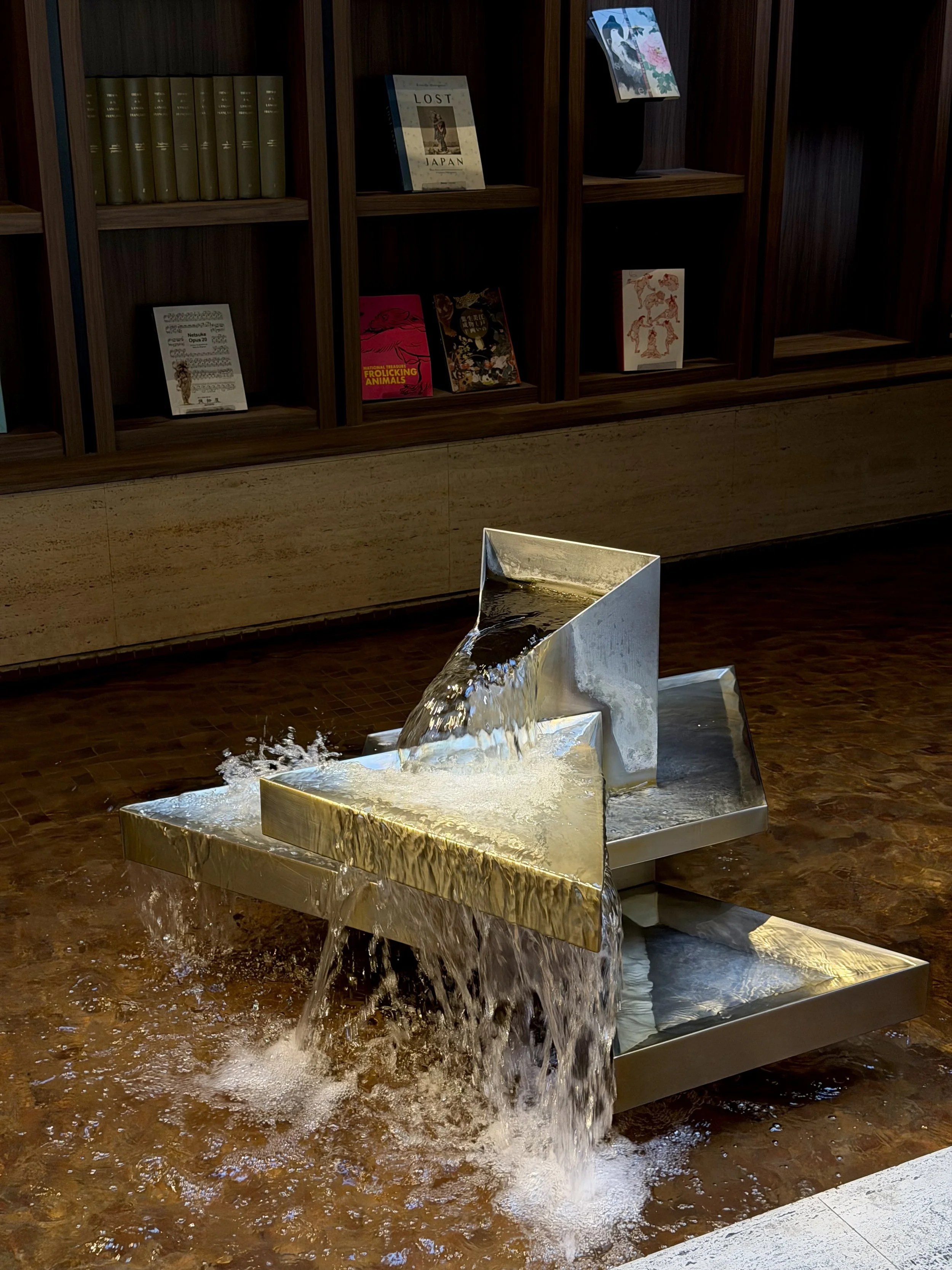 Contemporary indoor water feature set against dark wooden bookshelves filled with art and culture books