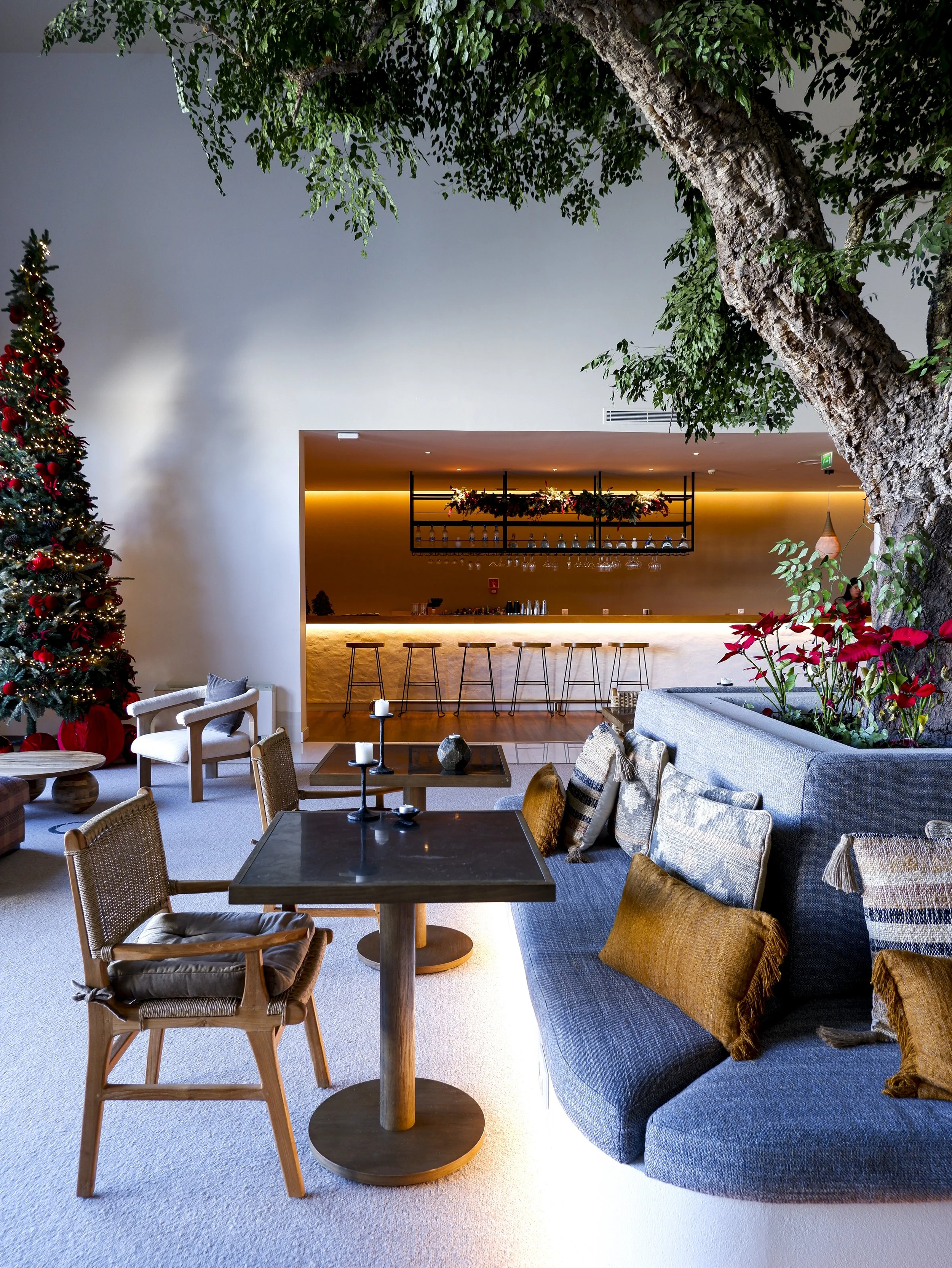 Spacious hotel lounge with bar, indoor tree, and contemporary design at Octant Évora