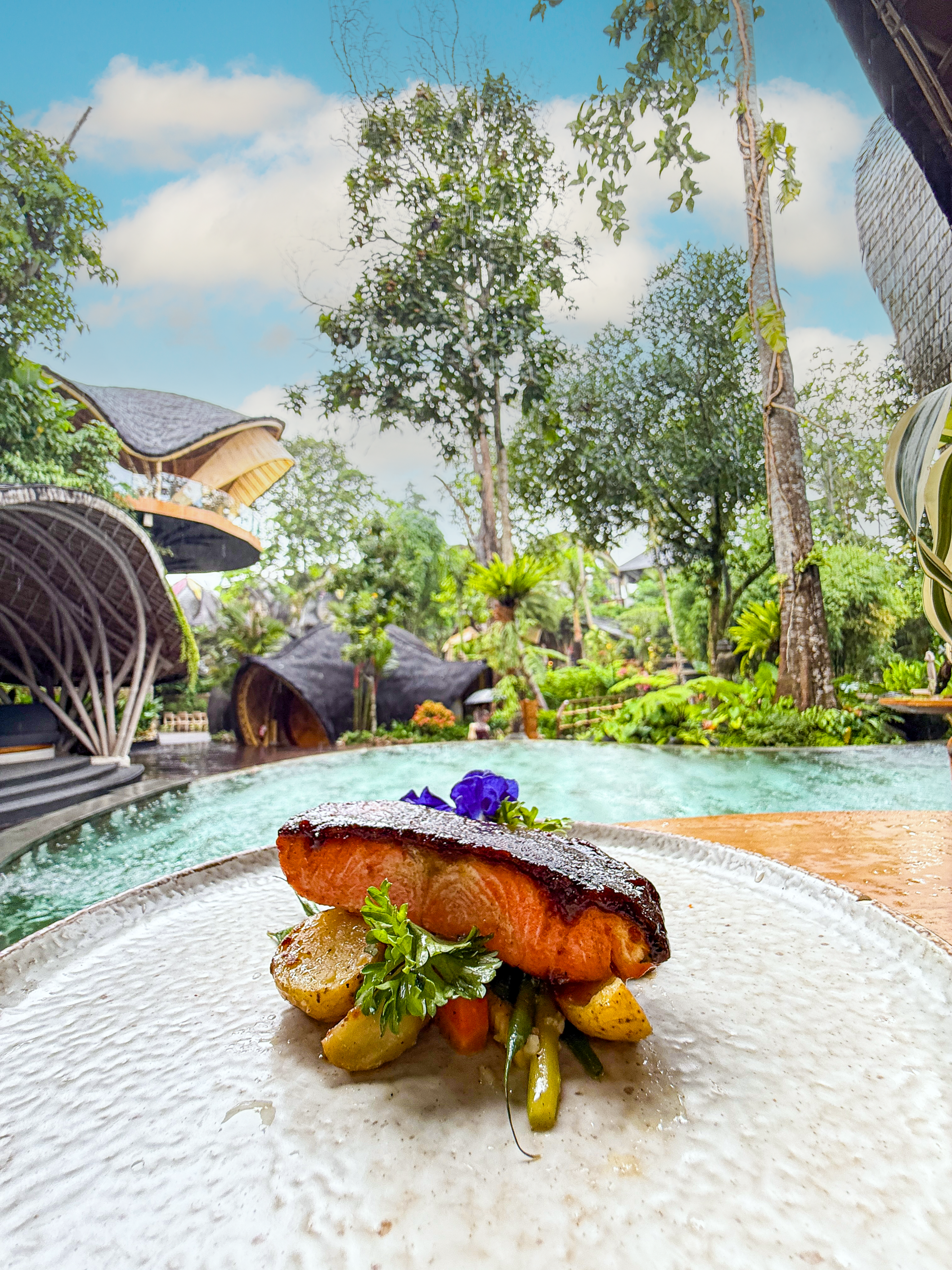 Perfectly presented salmon with seasonal vegetables is served beside the swimming pool, combining contemporary dining with a serene garden setting