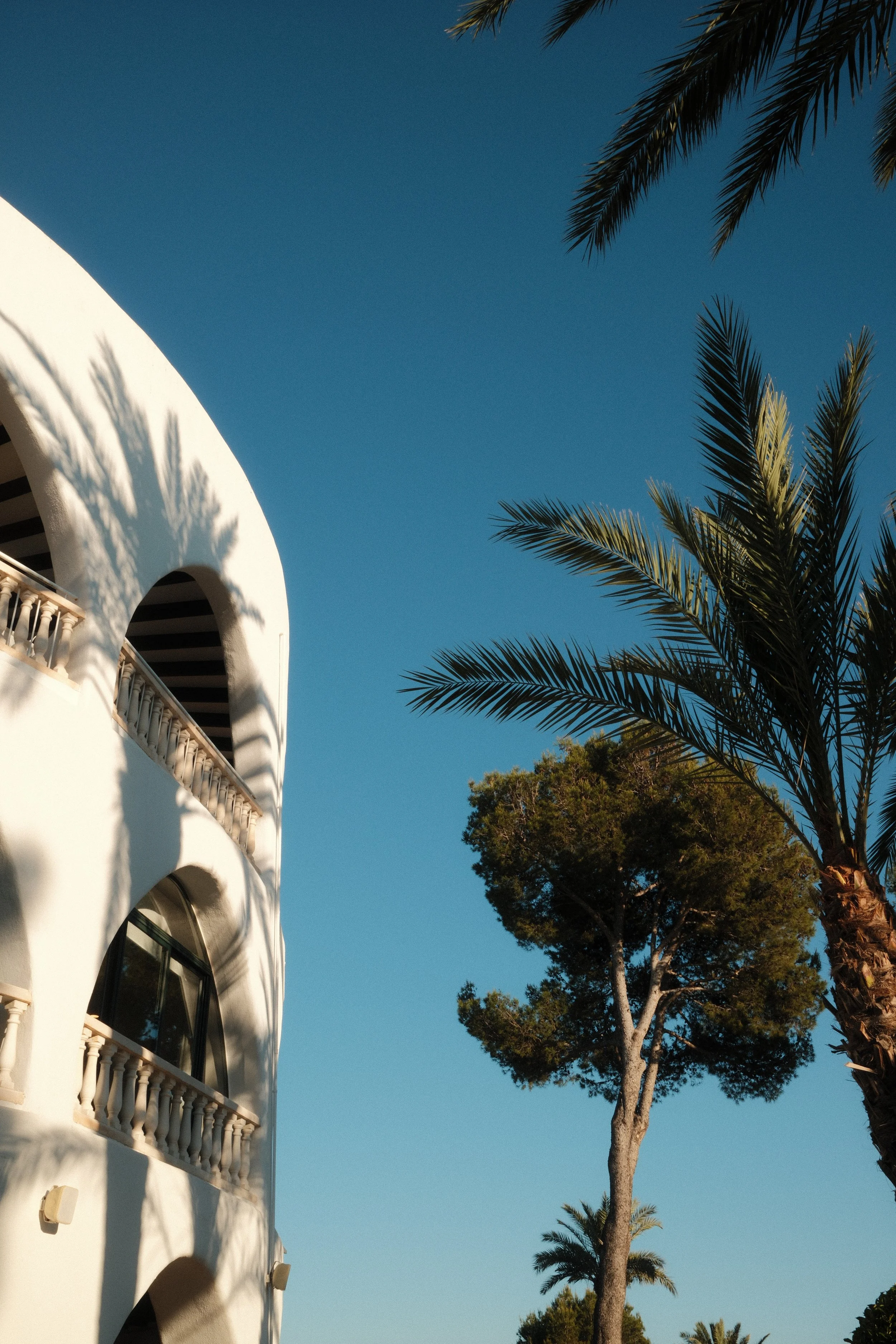 Mediterranean architecture framed by palm trees and warm afternoon light at Hilton Mallorca Galatzo, Mallorca, Spain