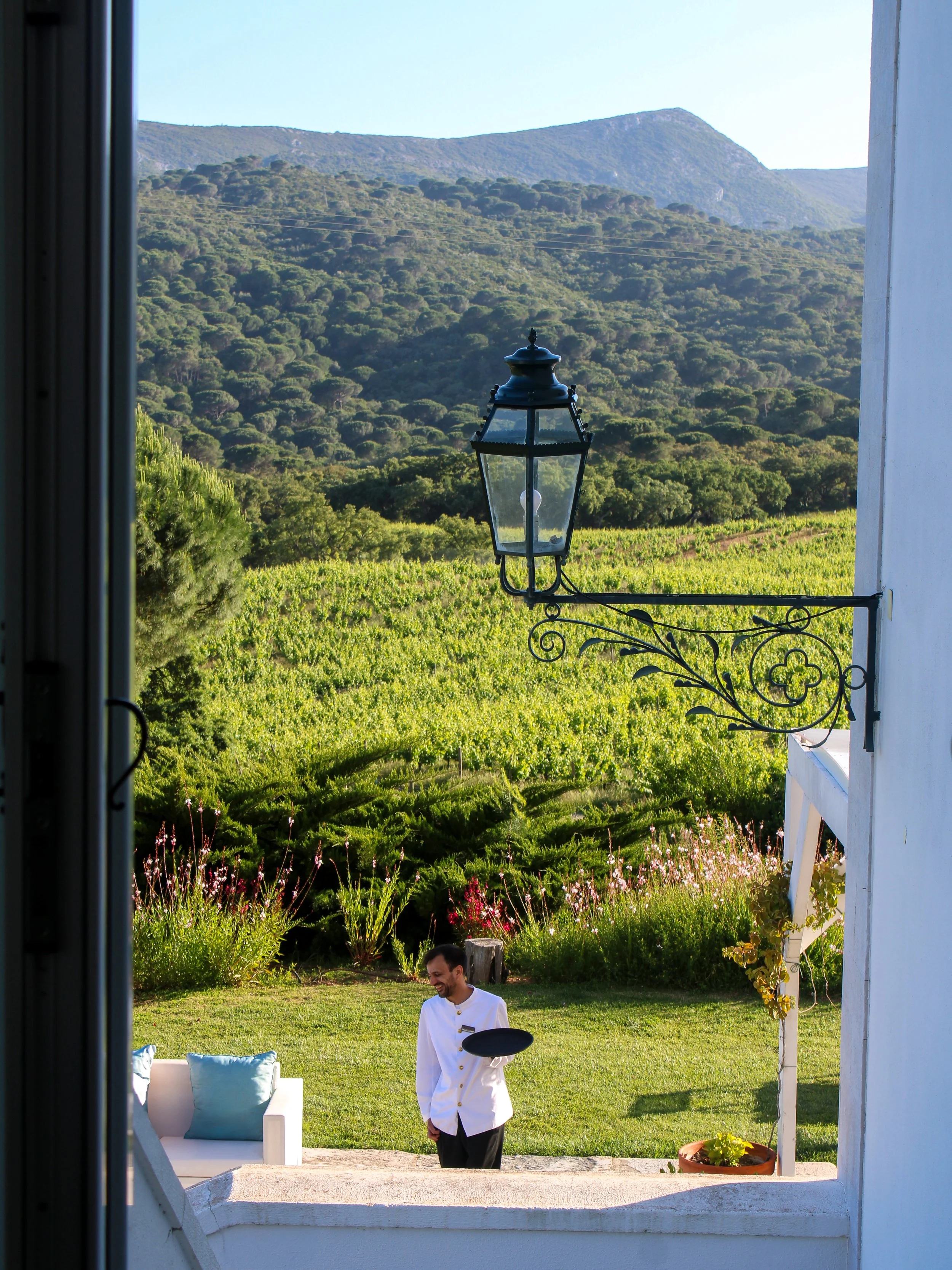 A vineyard view framed by the hotel window overlooking the rolling hills of Arrábida