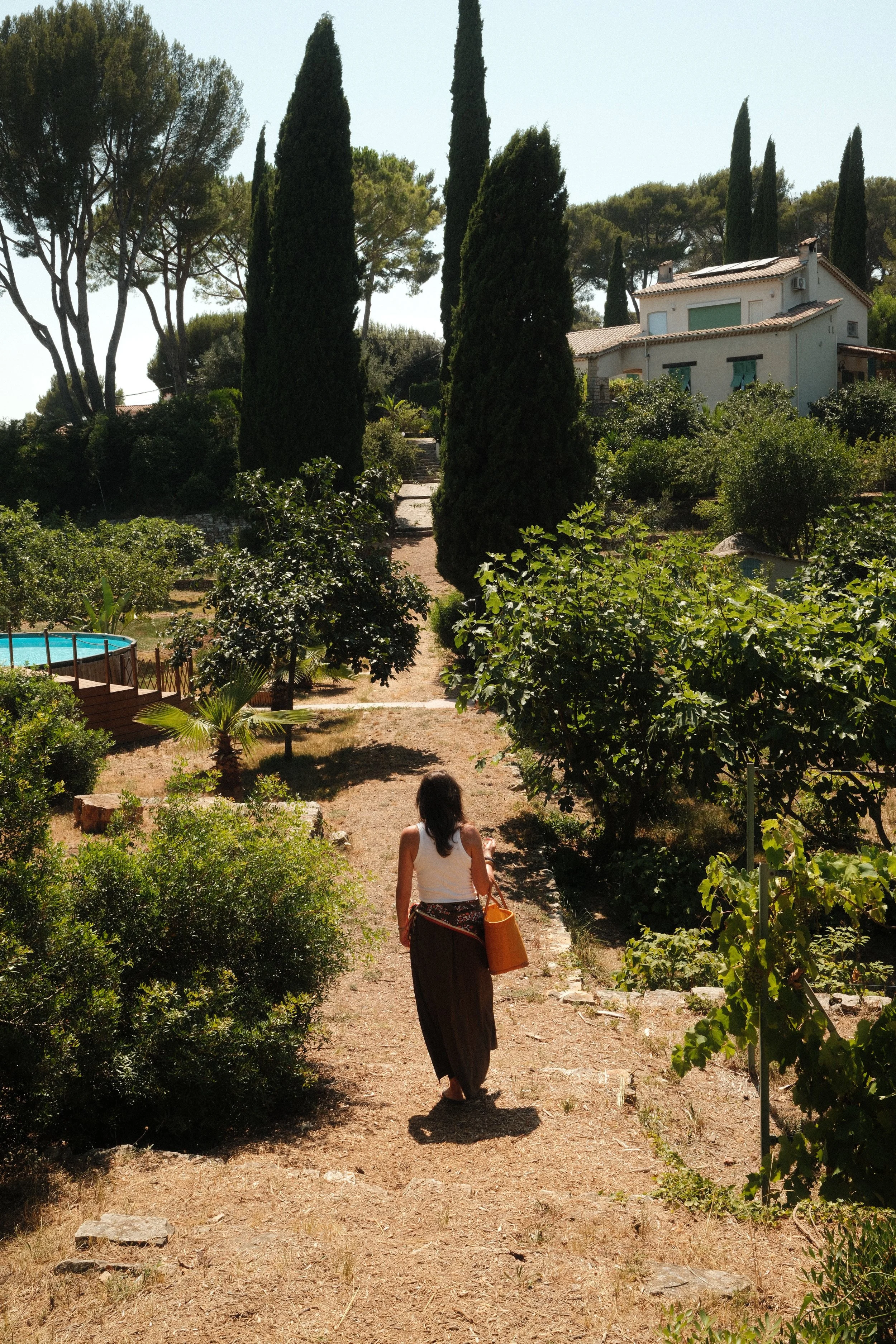 Walking through Mediterranean gardens filled with cypress trees and fruit groves