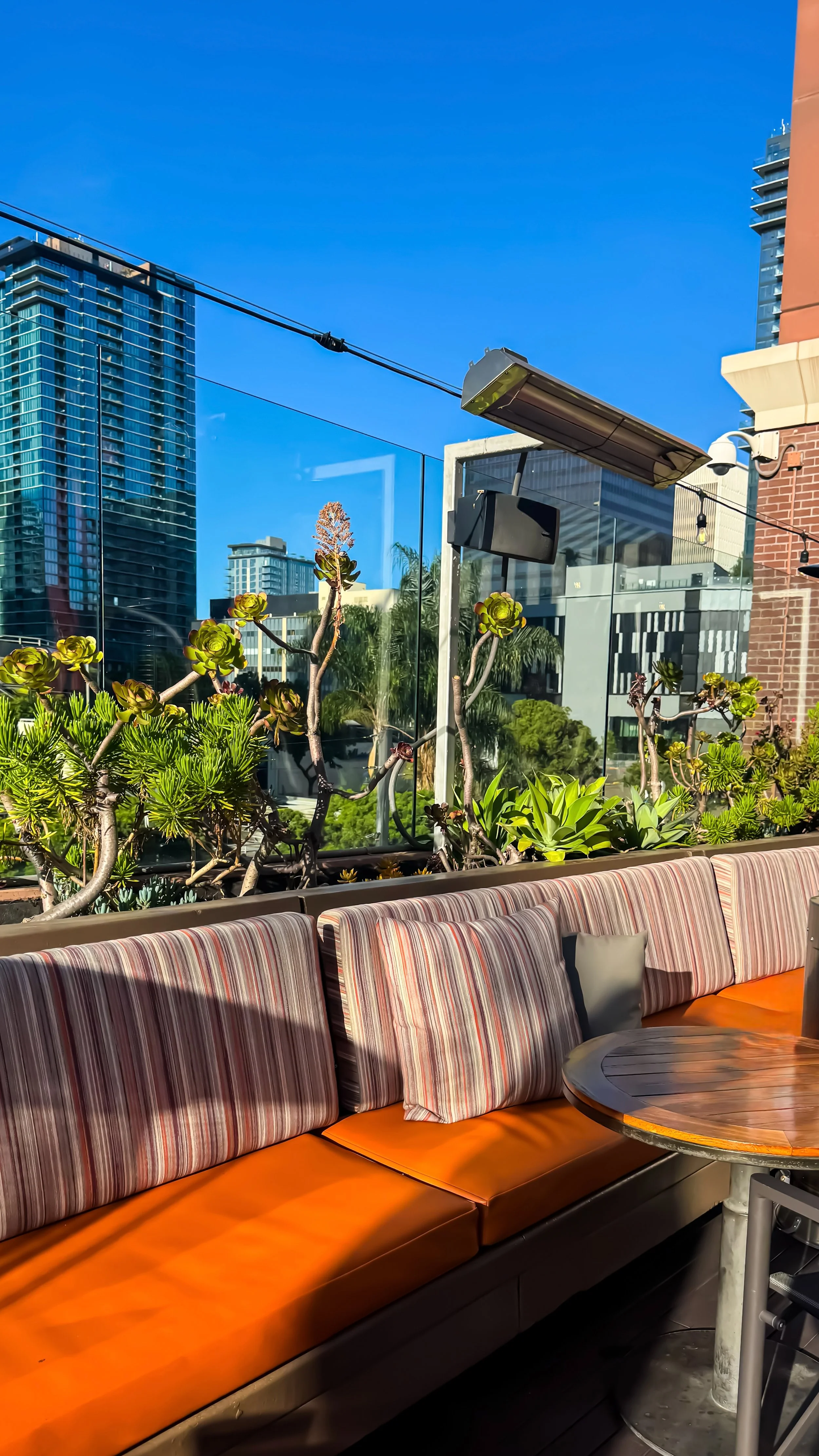 Rooftop terrace with comfortable lounge seating, lush greenery, and panoramic views of the downtown skyline